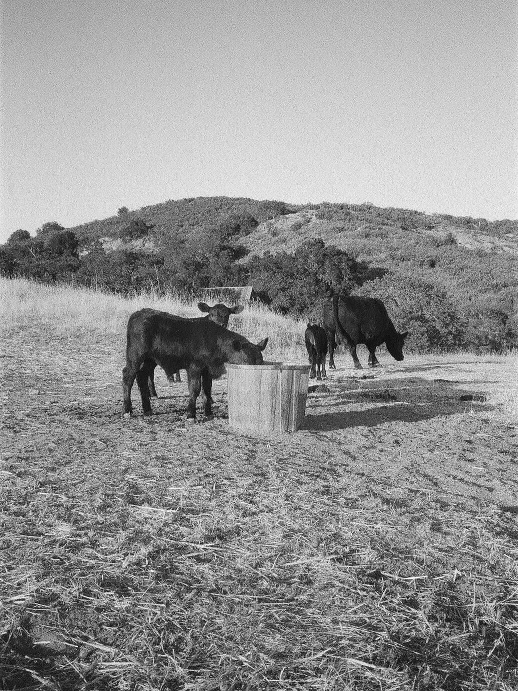 Some film pics my sister took on a summer afternoon a few months back