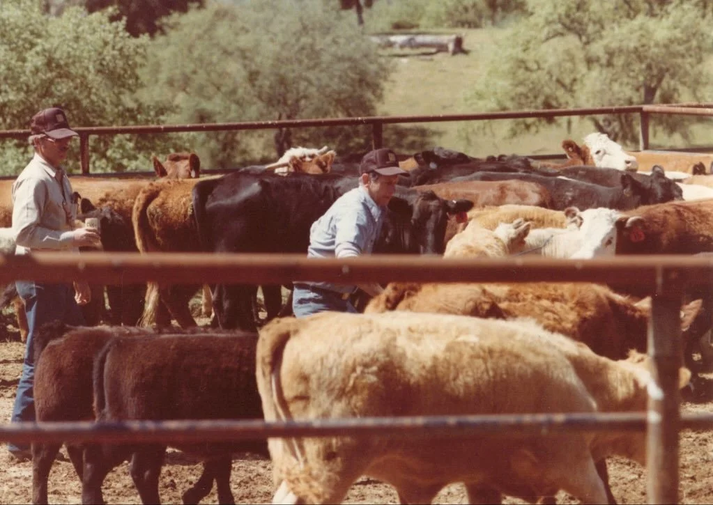 BI and friends working cows back in the day, were doing the same things in the same corals and still rocking the same brand 😎
