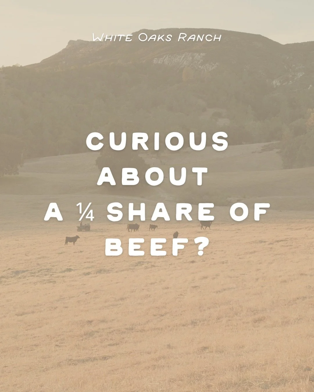 Wondering what a 1/4 share of beef will get you? In short- a great mix of cuts that you can feast on with your family year round. Shoot us a DM with any other questions you have!