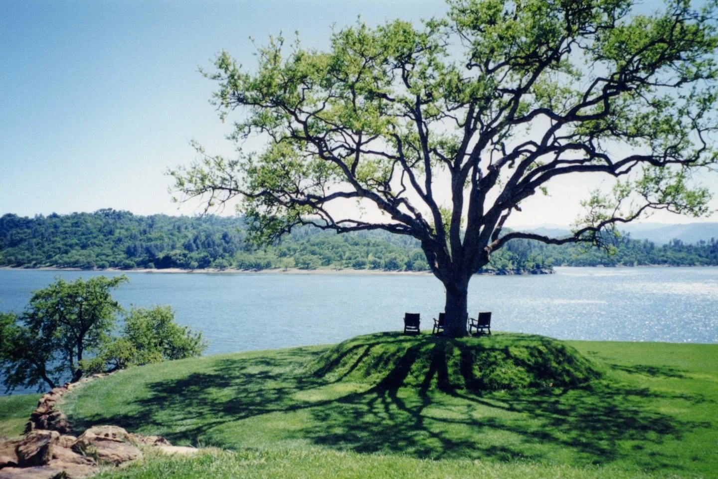 Happy Easter! Reminiscing on childhood Easter egg hunts out on the lawn and under the old oak tree. Hope everyone has a great day with friends and family!