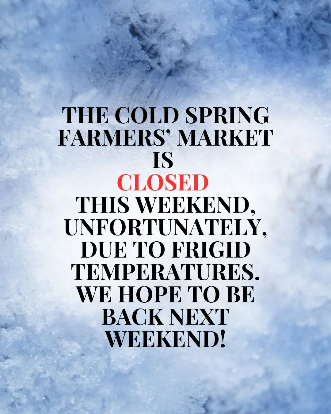 It's going to be too cold this weekend again to have the market and have our vendors out there, so we are unfortunately cancelling this Saturday's market!

Many of our vendors have online store and are willing to make deliveries or pickups on Friday 