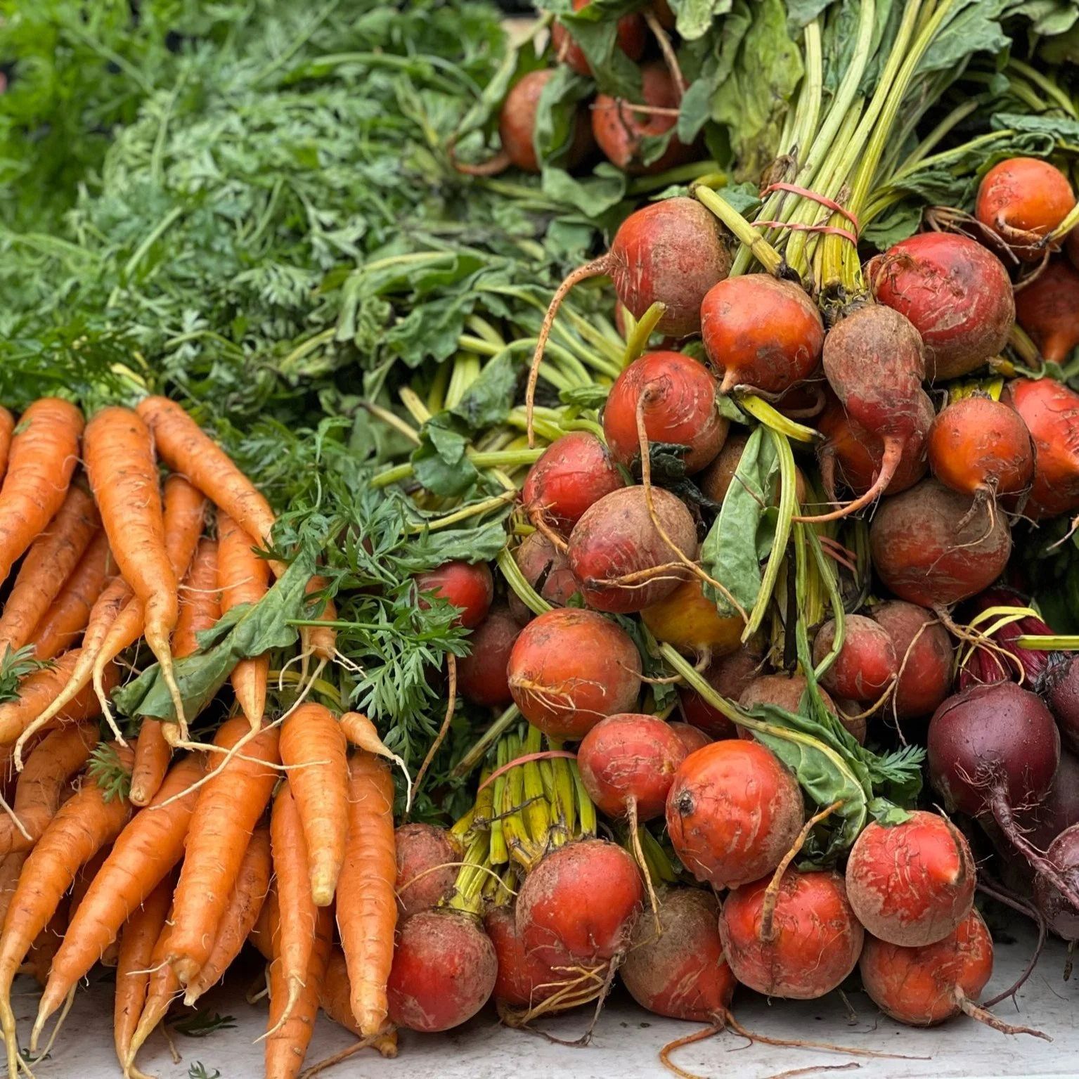 Our veggies vendors are all bringing tons of super fresh, quality veggies this weekend! After a couple weeks of frigid days, we are welcoming the "warmer" weather and with that means lots of fresh veggies! @thegreatjoyfamilyfarm @titusville