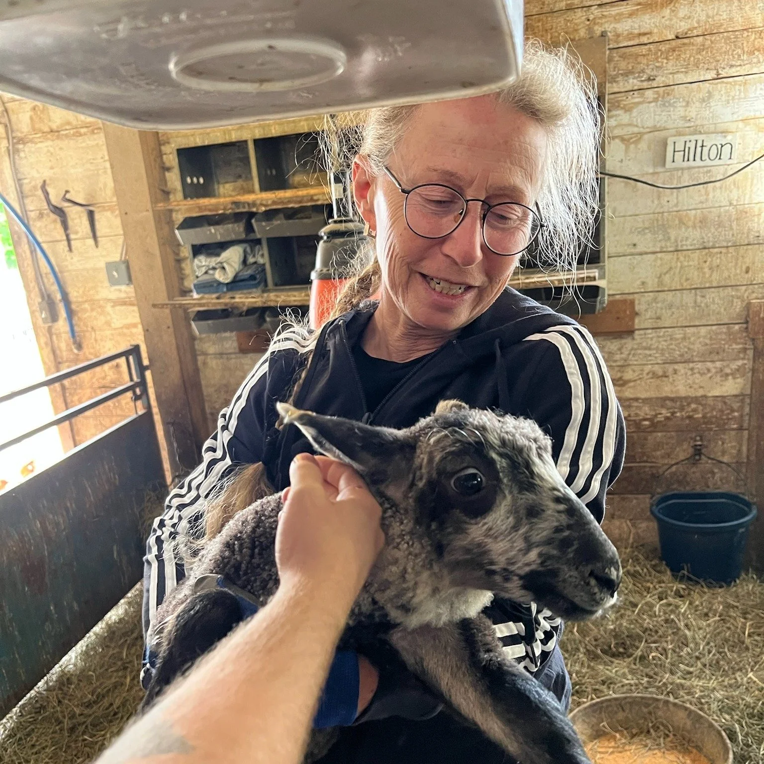 Lynn and Dashing Star Farm is back this weekend with her tent packed full with goodies! Eggs, Lamb, Meat, as well as plenty of wool products such as napkins, produce bags, sheep's wool pillows and more! @dashingstarfarm 
.
.
.
 #csfarmmarket #coldspr