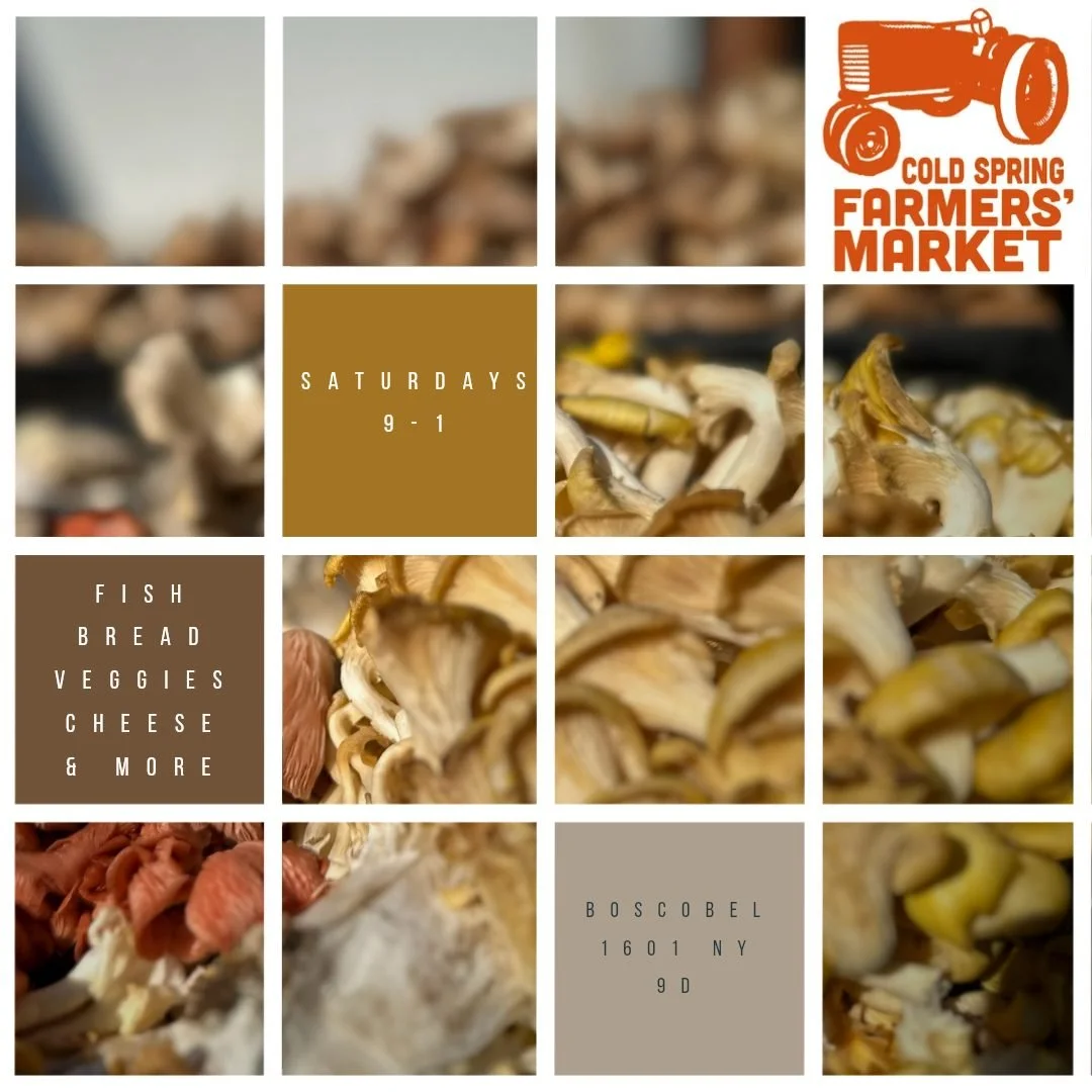 This Weekend at the Cold Spring Farmers' Market