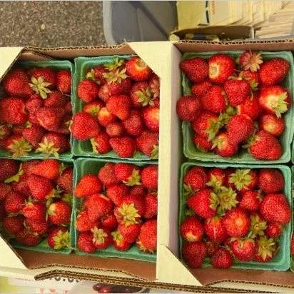 Liberty Orchards is back this week and you know they will be bringing some delicious fruit! We had our first strawberries at the market last week, so make sure to come early and grab these tasty berries before the season is over!!
.
.
.
 #csfarmmarke