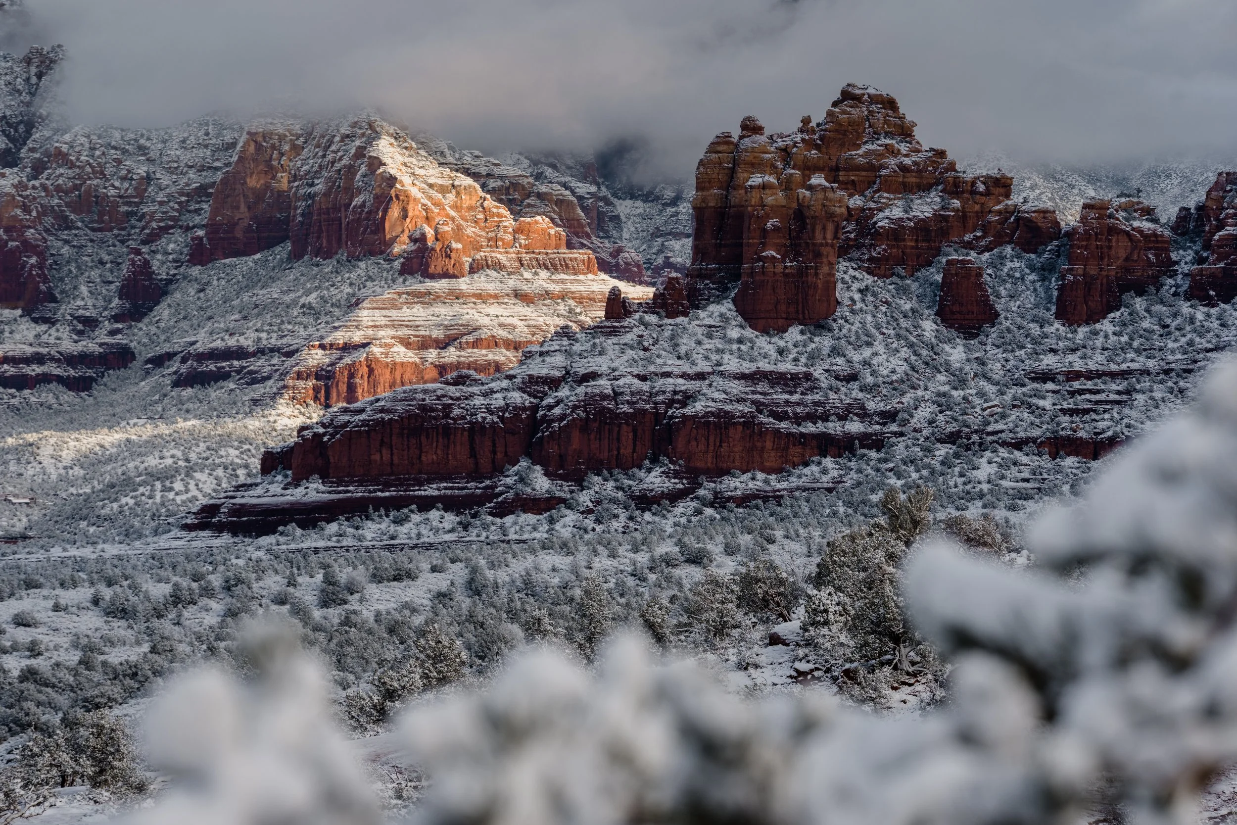 230120_HILL_02211.JPG
