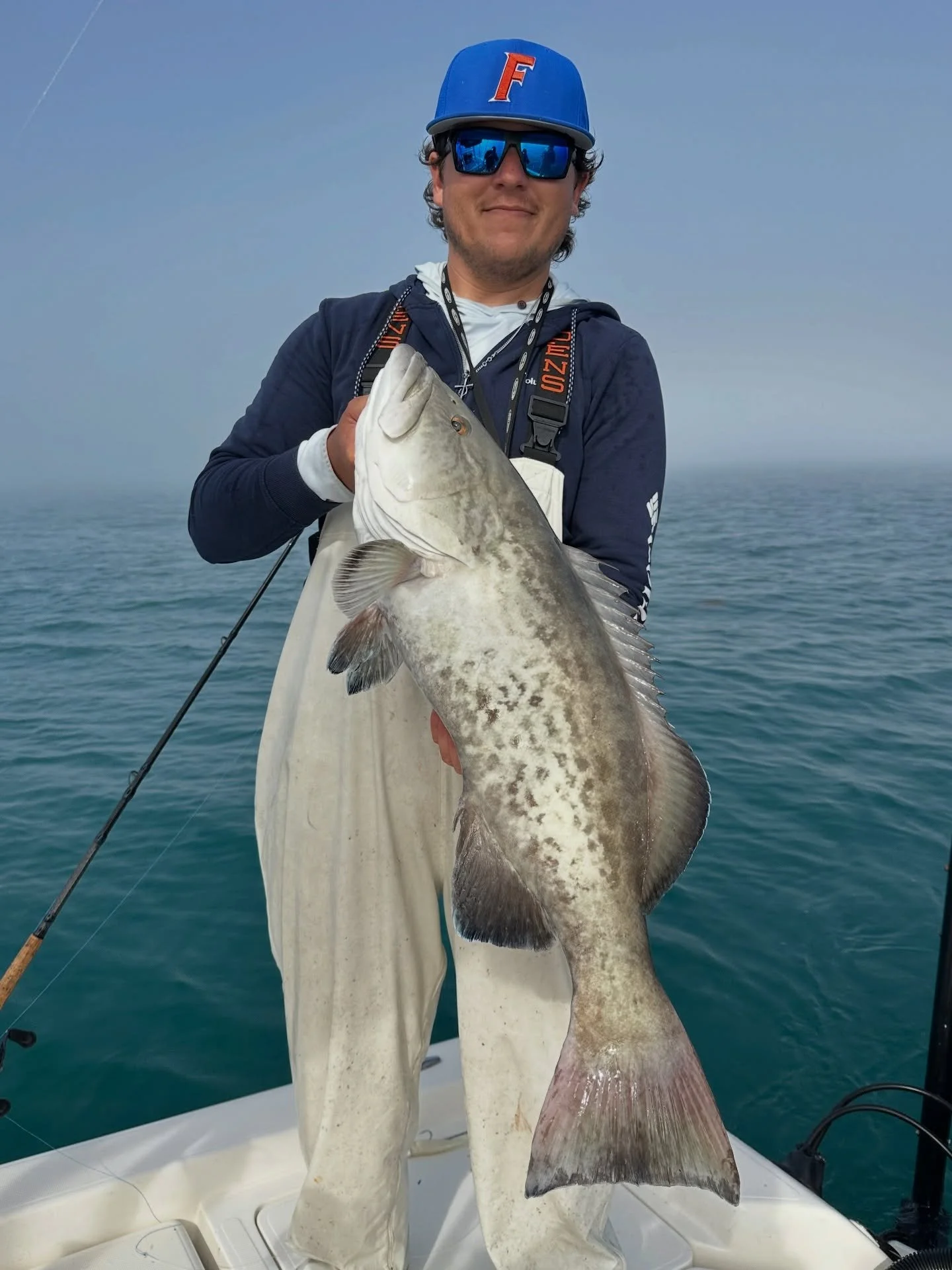 Wide open grouper bite 🔥 almost 40 gags caught in just a few hours, and most on artificial. If you want to experience some of the best fishing in Crystal River book a grouper trip! 

👉9043031968👈
🔥www.inshorepursuitcharters.com🔥

@shrimplanding 