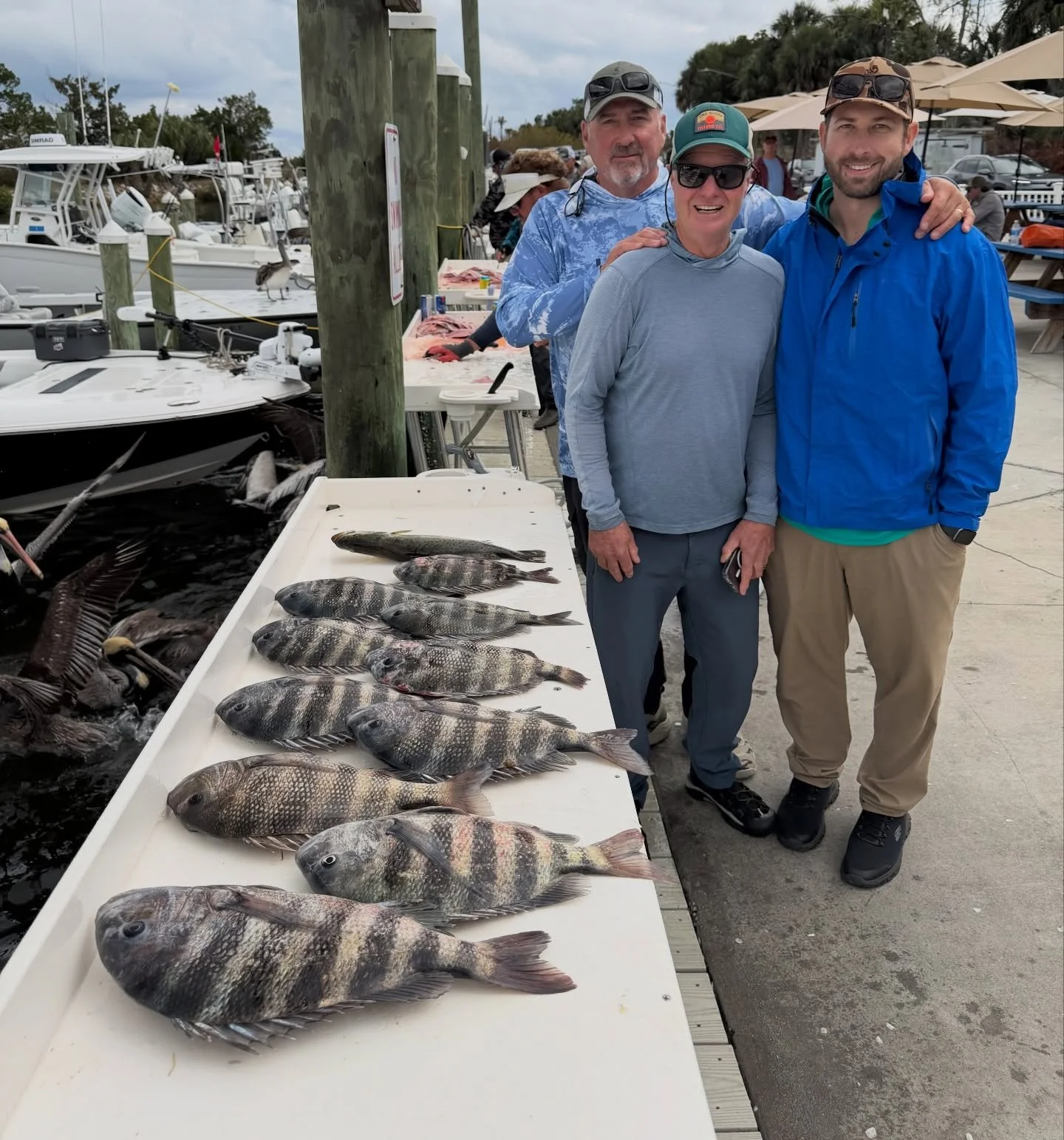 Caught enough sheeps for dinner then gave the inshore bite a try, it was pretty slow so we called it a day 🤙

👉9043031968👈
🔥www.inshorepursuitcharters.com🔥

@shrimplanding 
@engelcoolers 
@finsbraids 
@seaworxfishing 
@stpetefishingoutfitters

#