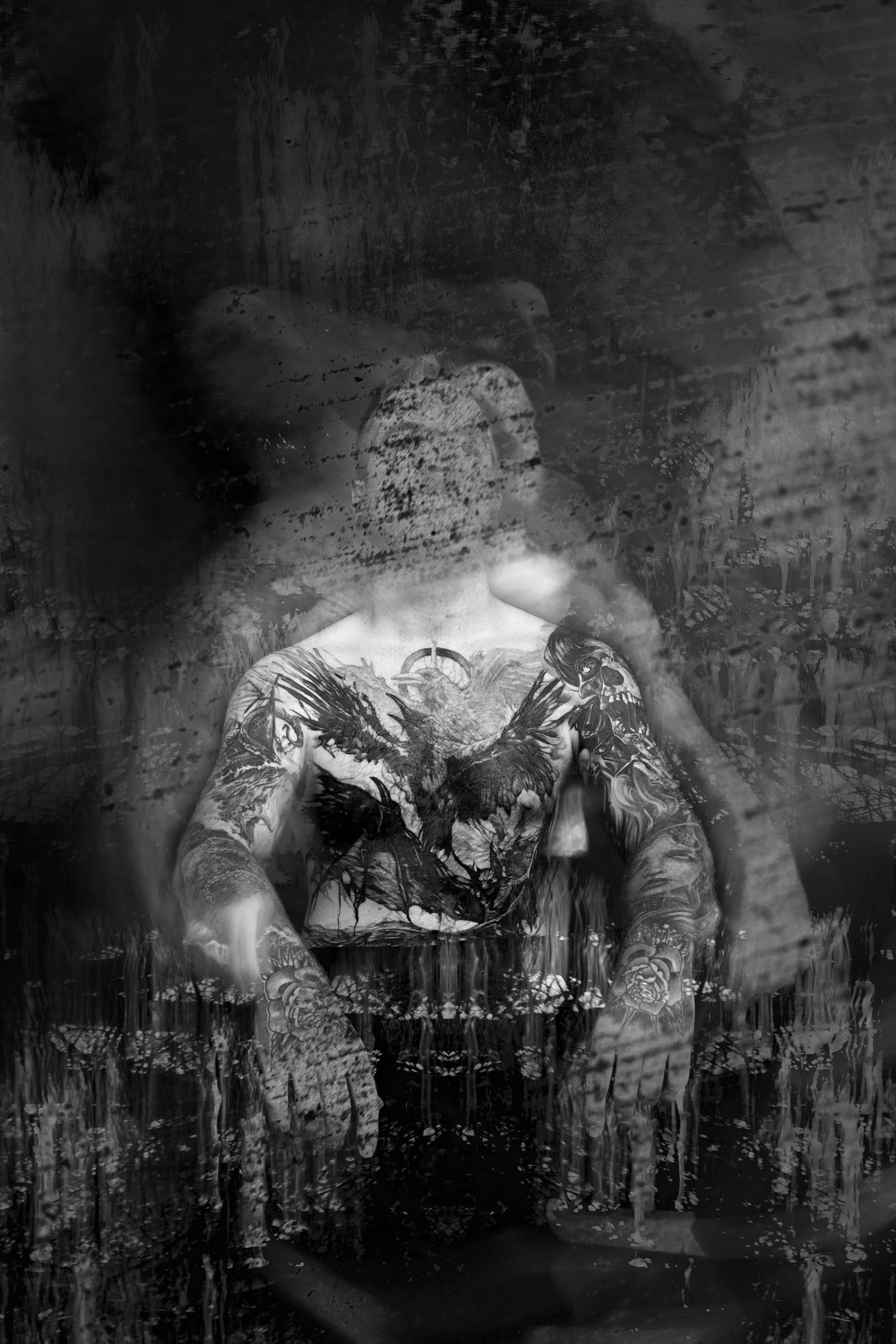 Echoes of Distortion.jpg