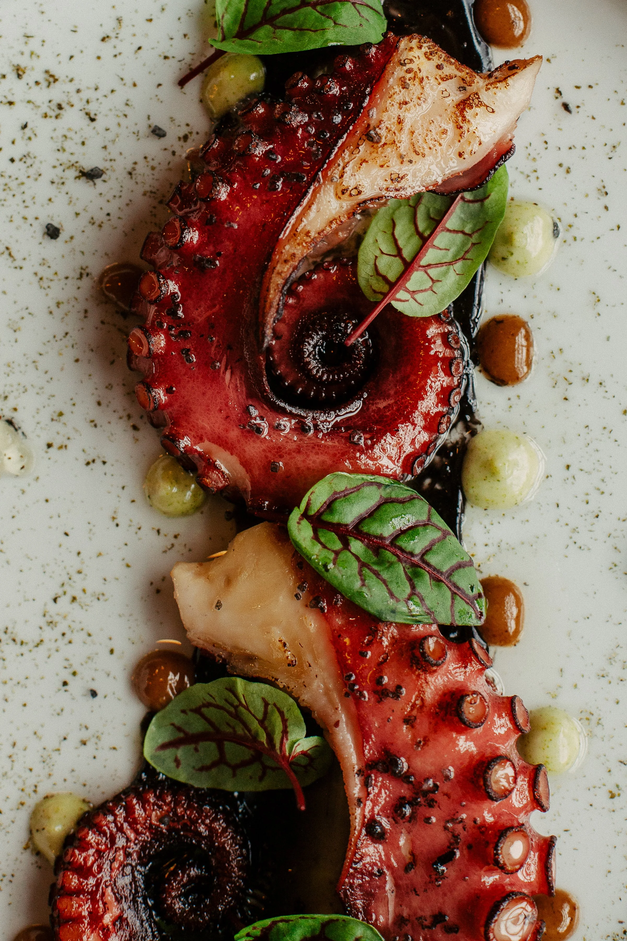 Professional food photography Toronto restaurants