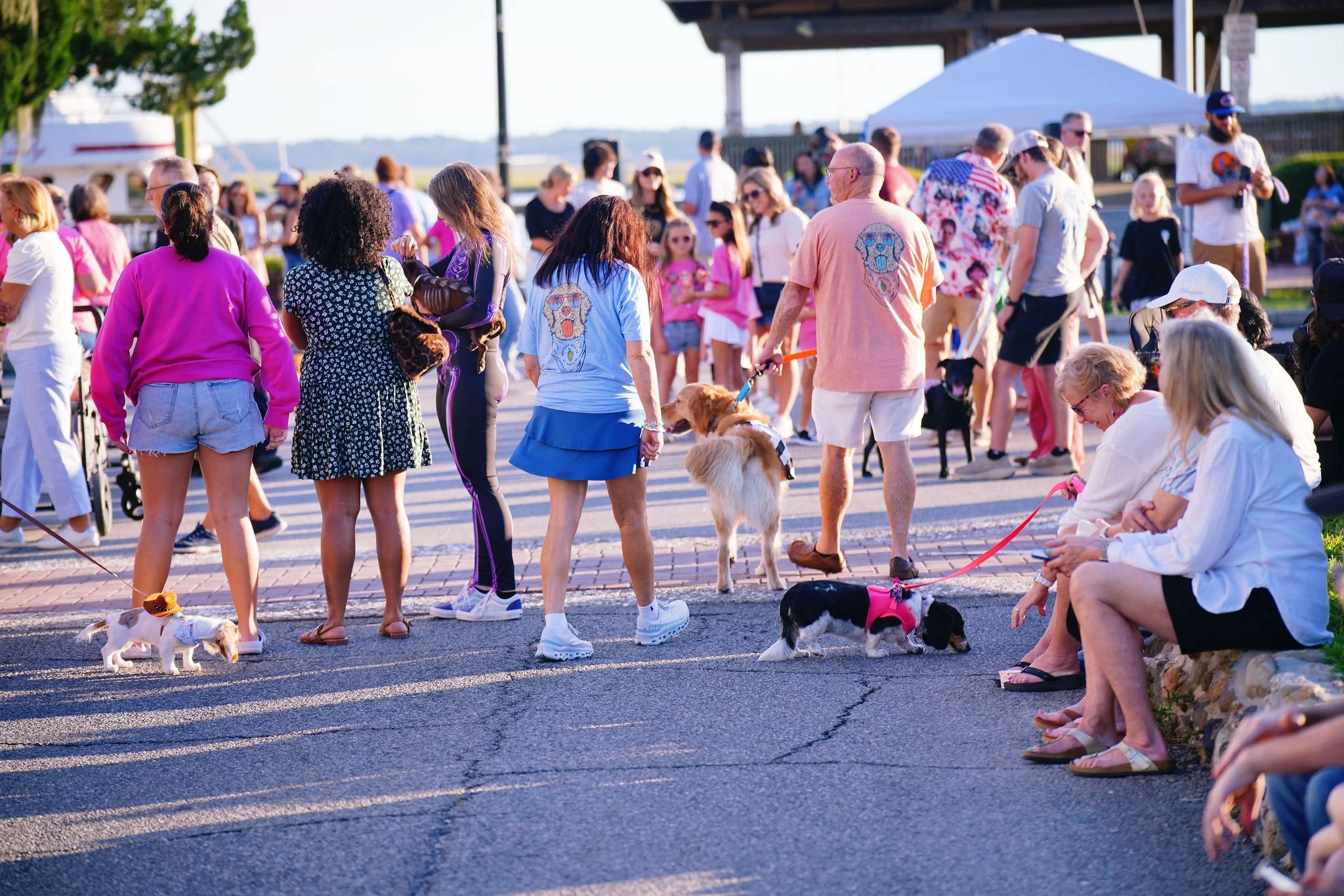 Crowd of people, including children and adults, gathered outdoors for an event on a sunny day, with some holding leashes for dogs and others sitting or standing on a sidewalk.