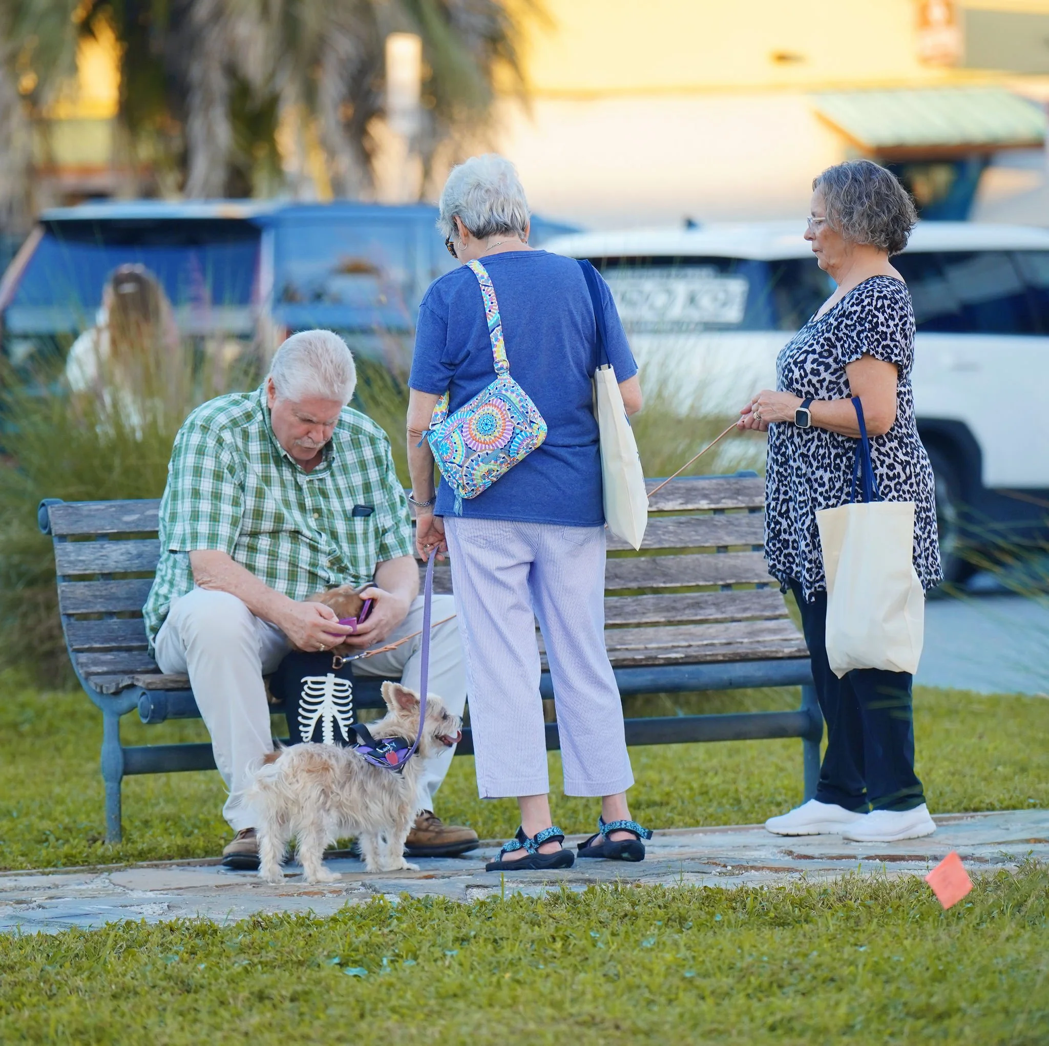 Four elderly people and a dog gathered outdoors near a park bench and a body of water, with boats in the background during sunset.