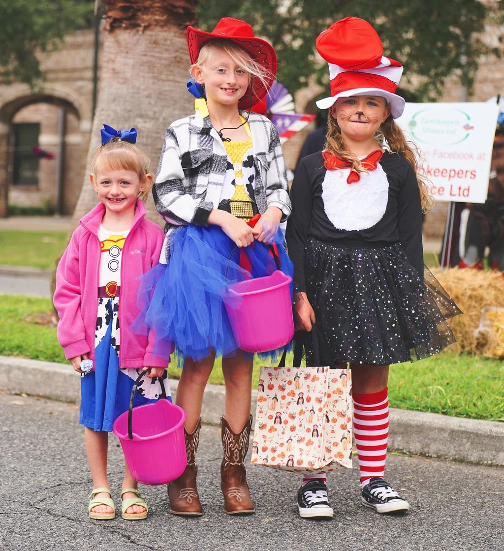 scarecrow-stroll2609947.jpg