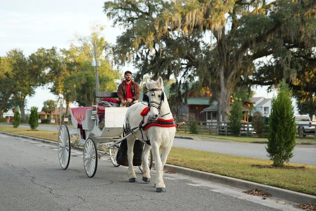 A man riding in a horse-drawn carriage on a residential street, with trees and houses in the background.