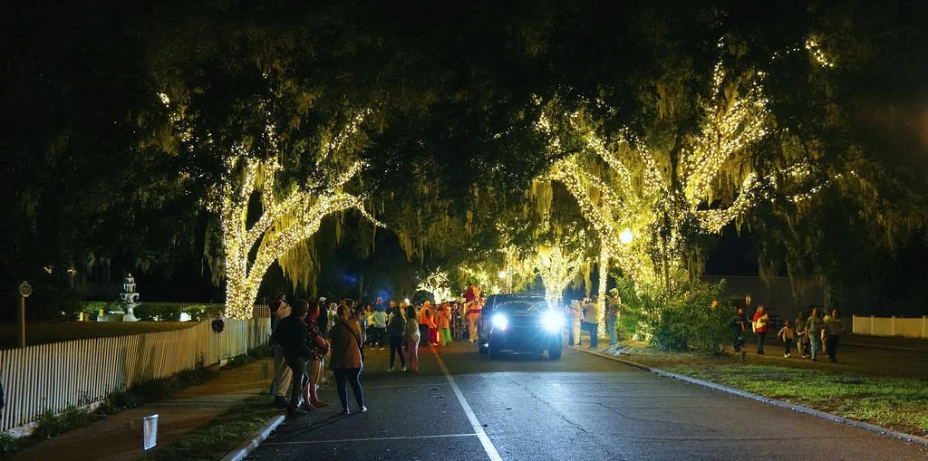 People gather on a street lined with decorated trees wrapped in string lights during nighttime Christmas festivities.