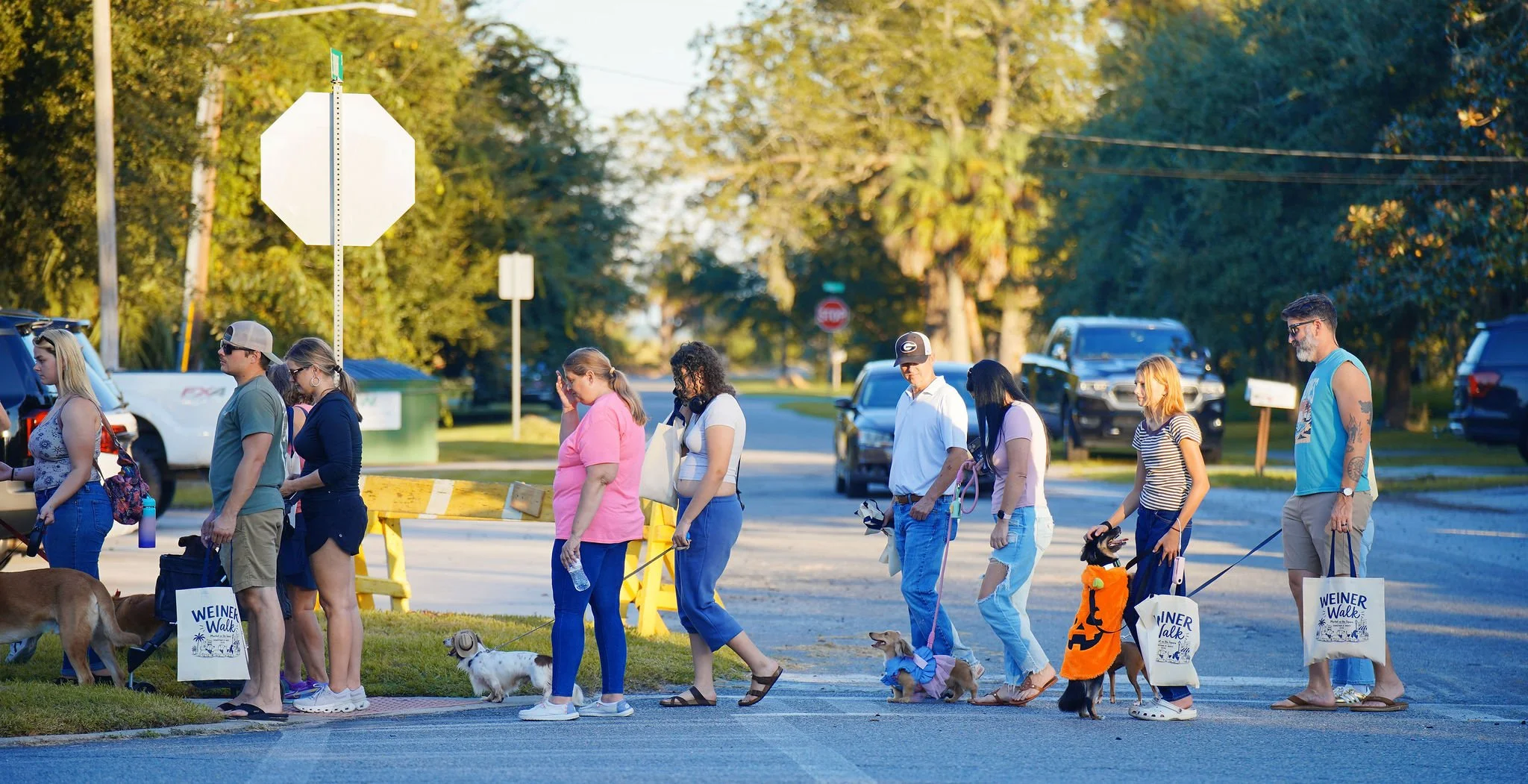 People walking with dogs during a walkathon event in a park area, with trees and parked cars in the background.