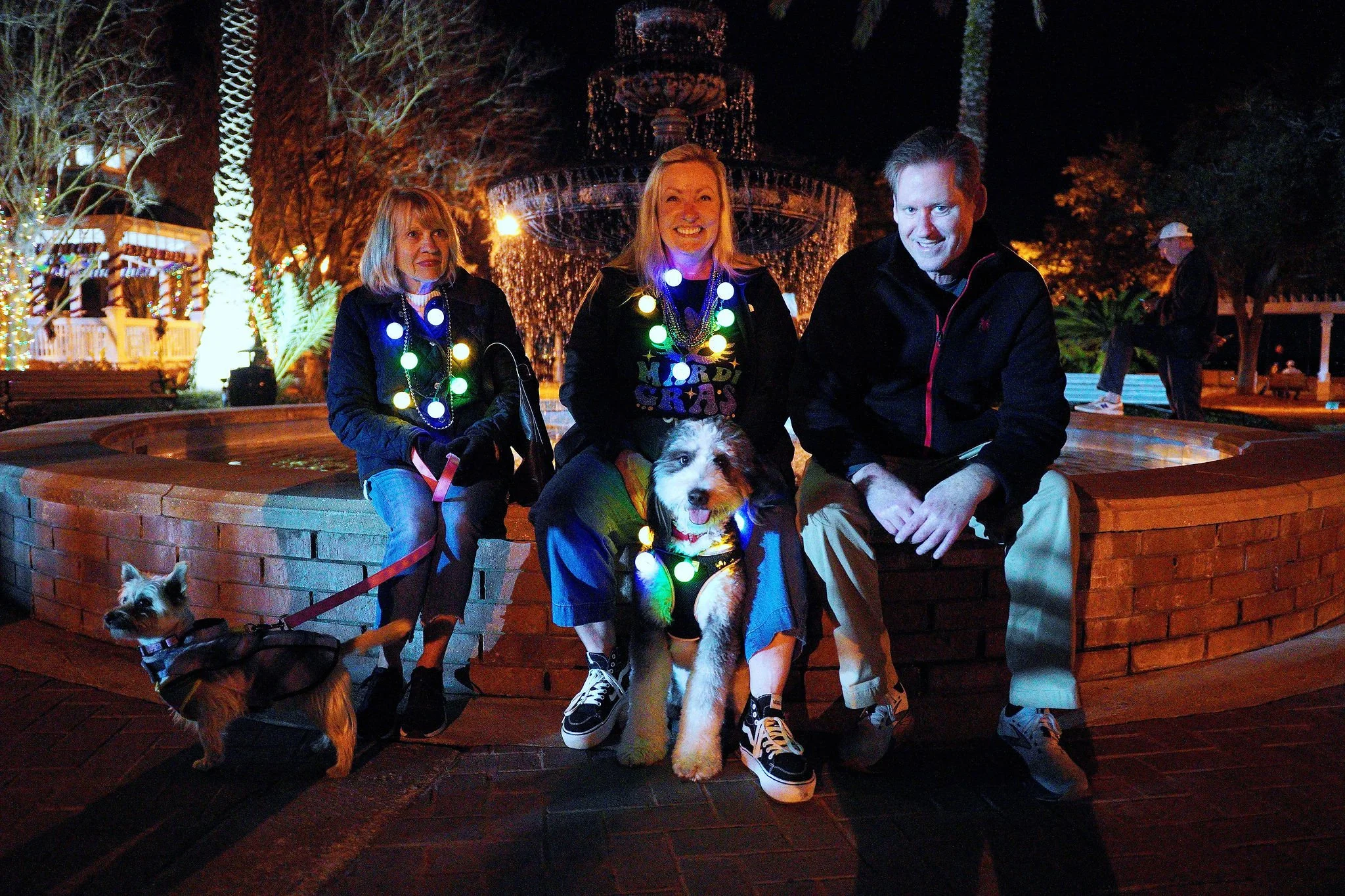 People sitting on a brick fountain at night, decorated with Christmas lights. Two dogs are present, one on a leash on the left and a large puppy sitting in the middle. The group appears festive, celebrating Christmas, with smiling faces and Christmas