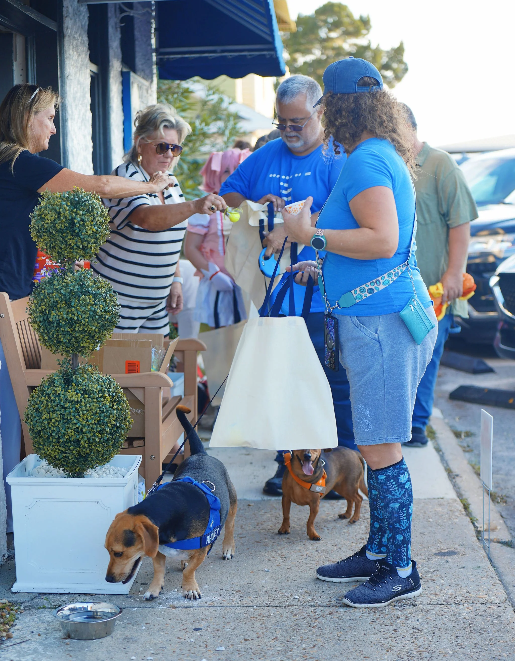 A group of people and dogs gathered around a stall with plants and snacks outside a building on a sunny day.