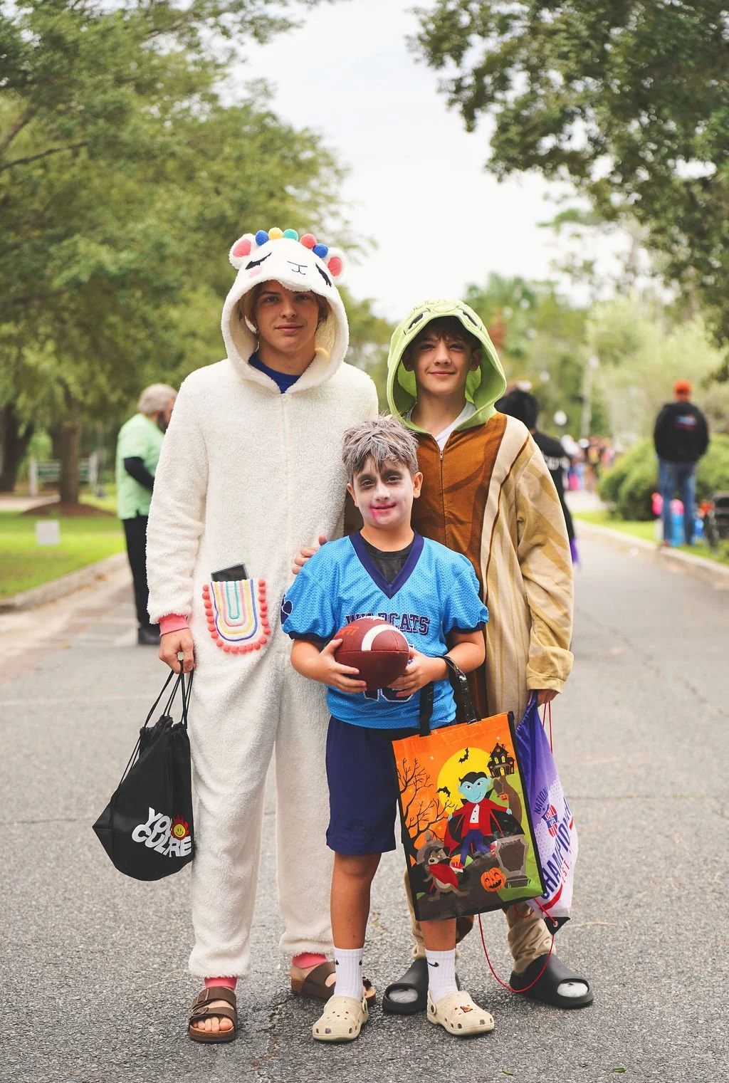 scarecrow-stroll2609971.jpg