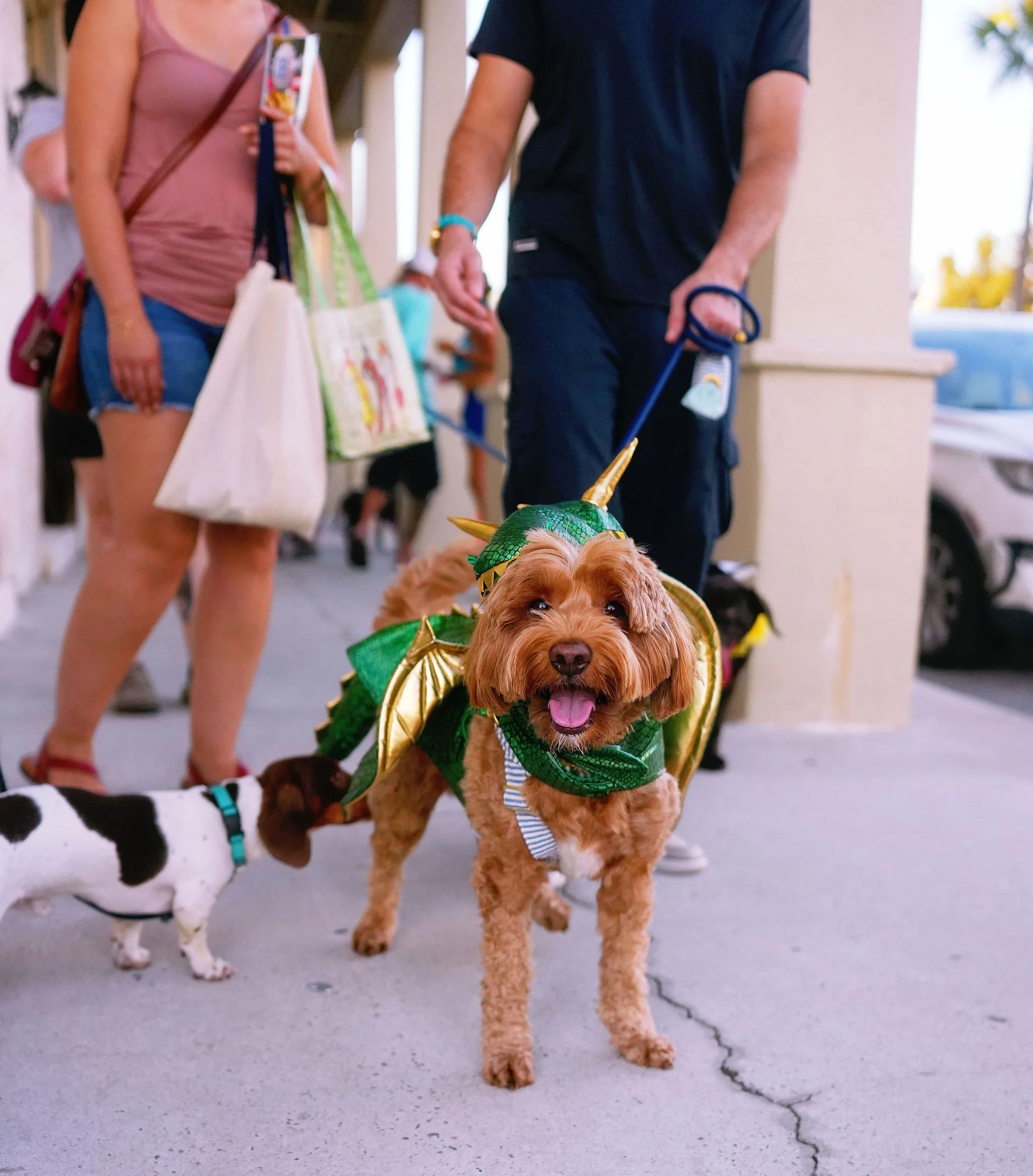 A golden doodle dog dressed in a green and gold dragon costume, standing on a sidewalk, with people in casual clothing and store bags in the background.