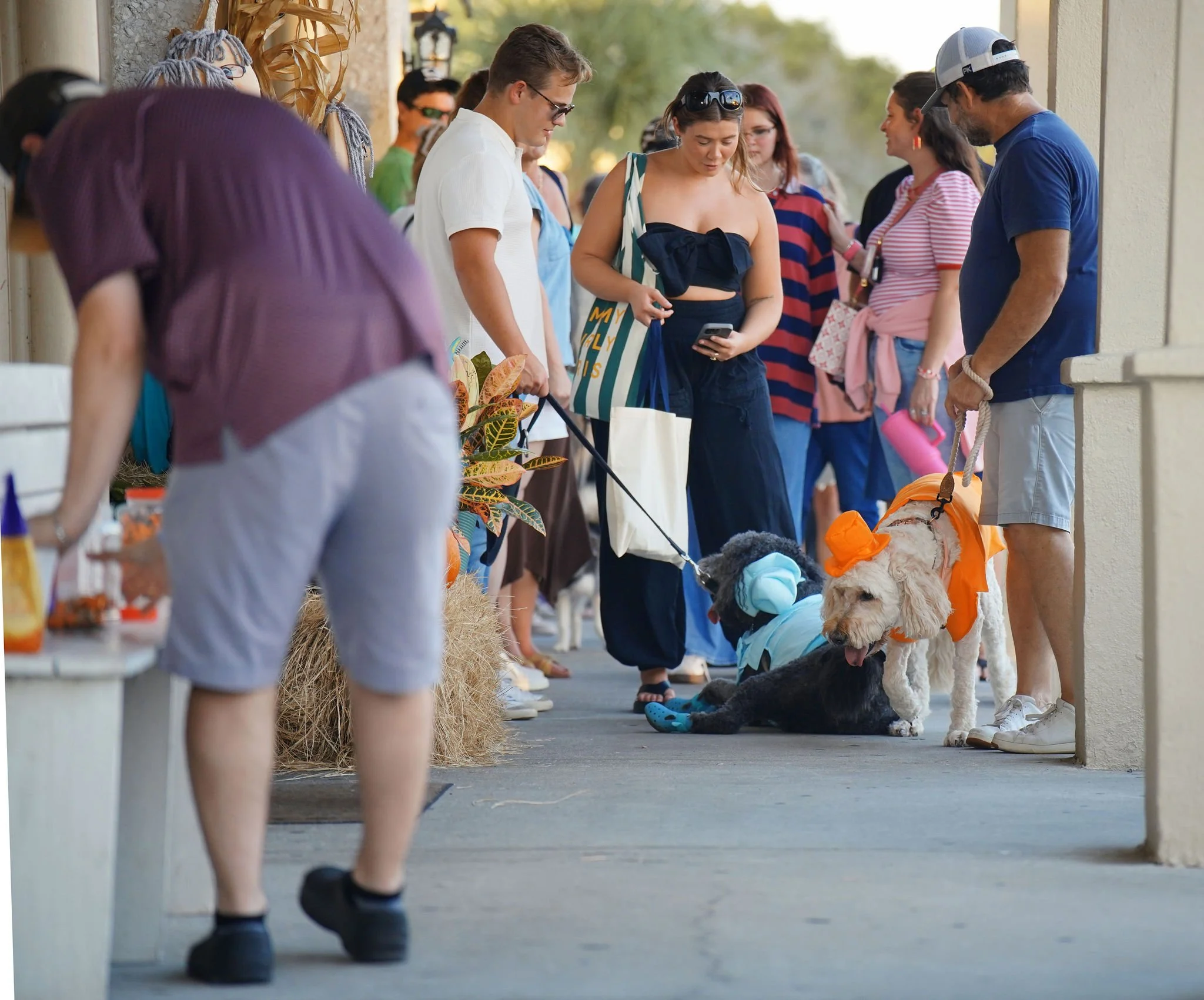 People lining up at an outdoor event, with some wearing casual summer clothes and sunglasses, and dogs on leashes nearby. There are hay bales and plants along the side.