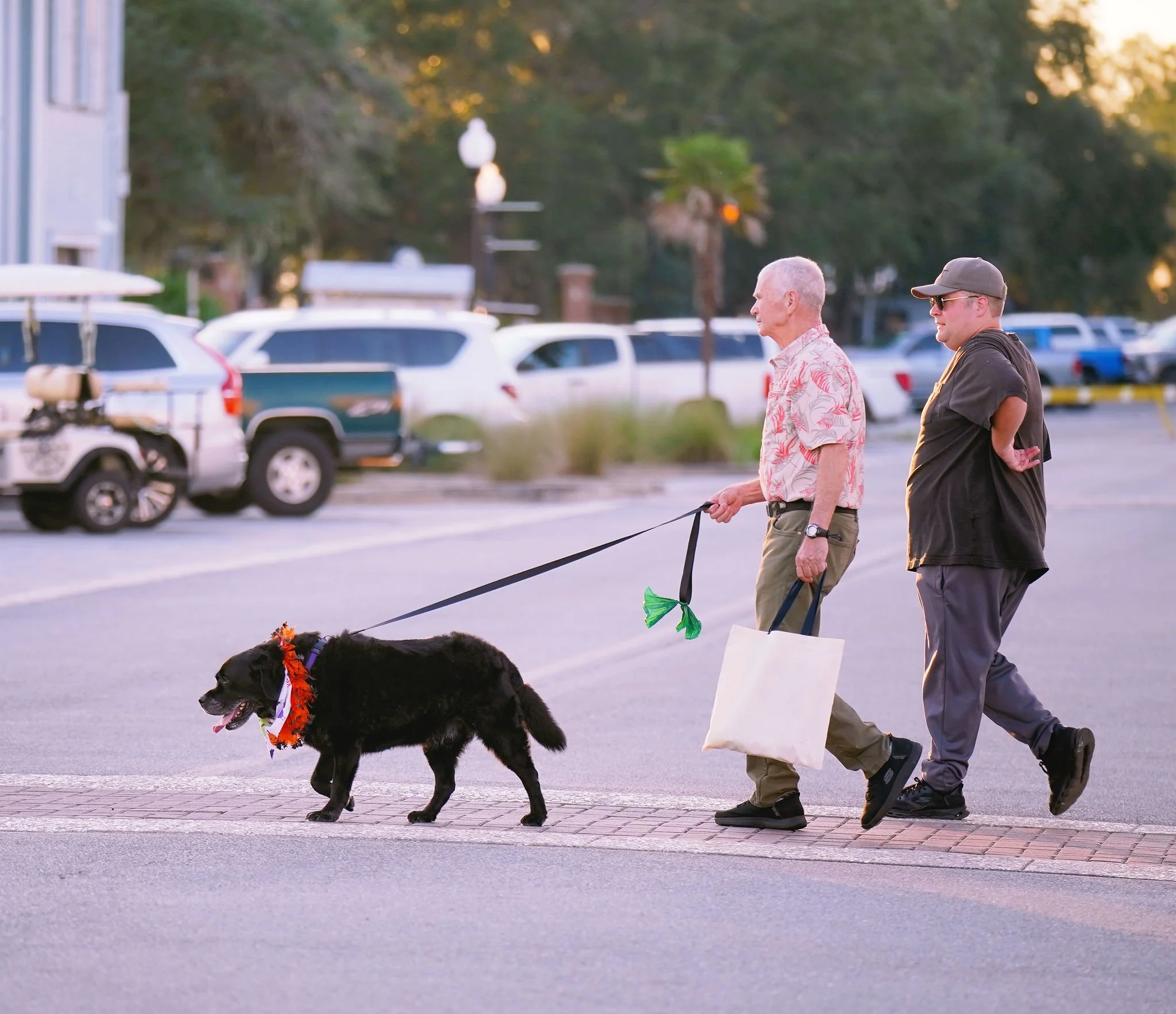 Two men walking on a sidewalk with a large dog. One man has gray hair, wearing a floral shirt, and the other man is younger, wearing a black jacket, sunglasses, and a cap. The dog is black, wearing a colorful collar, and being led on a leash.