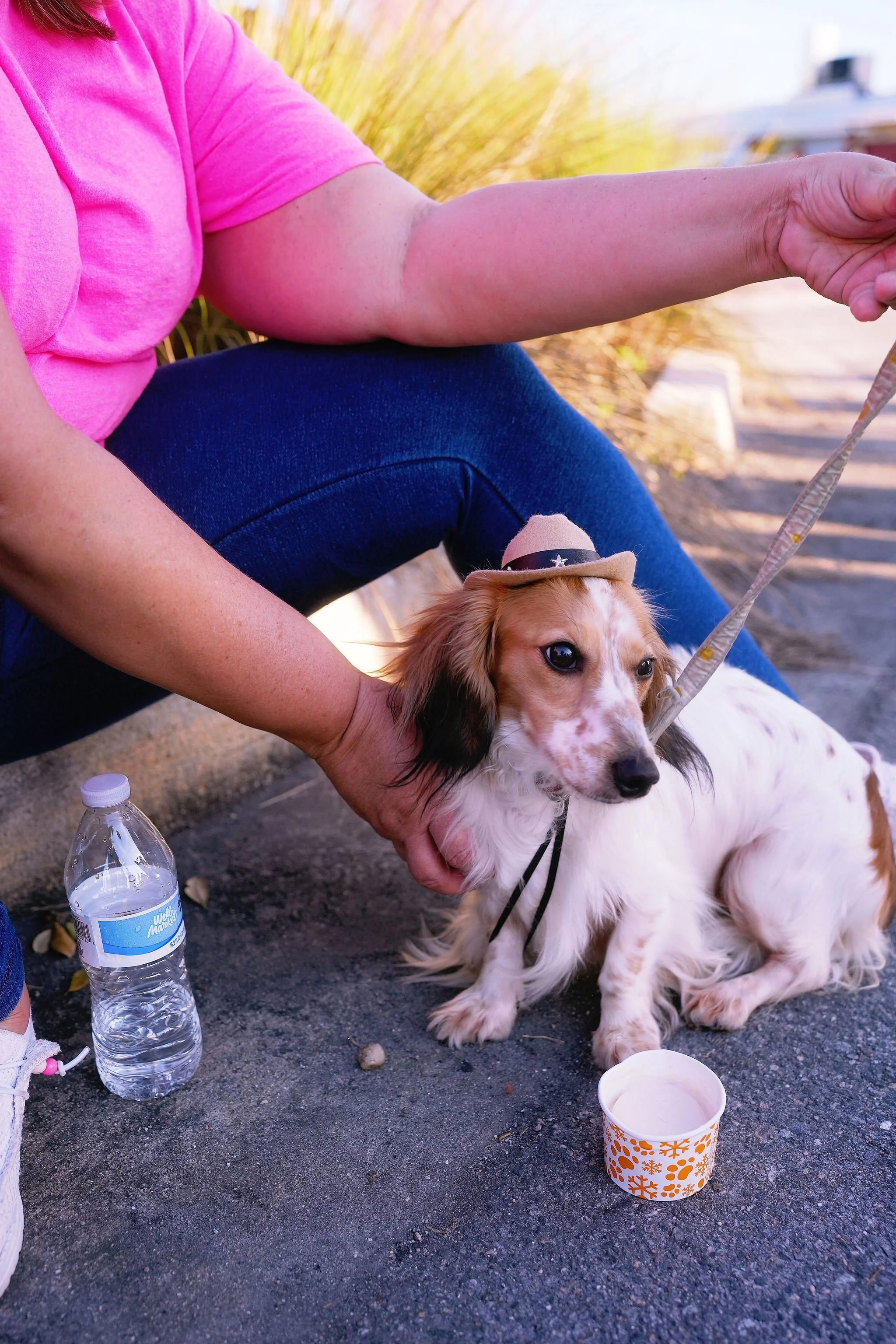 A person wearing a pink shirt and blue jeans sitting on the ground with a beagle dog. The person's arm is extended, holding the dog's leash. The dog is lying down on the ground with a festive holiday cup nearby, and a water bottle is also on the grou