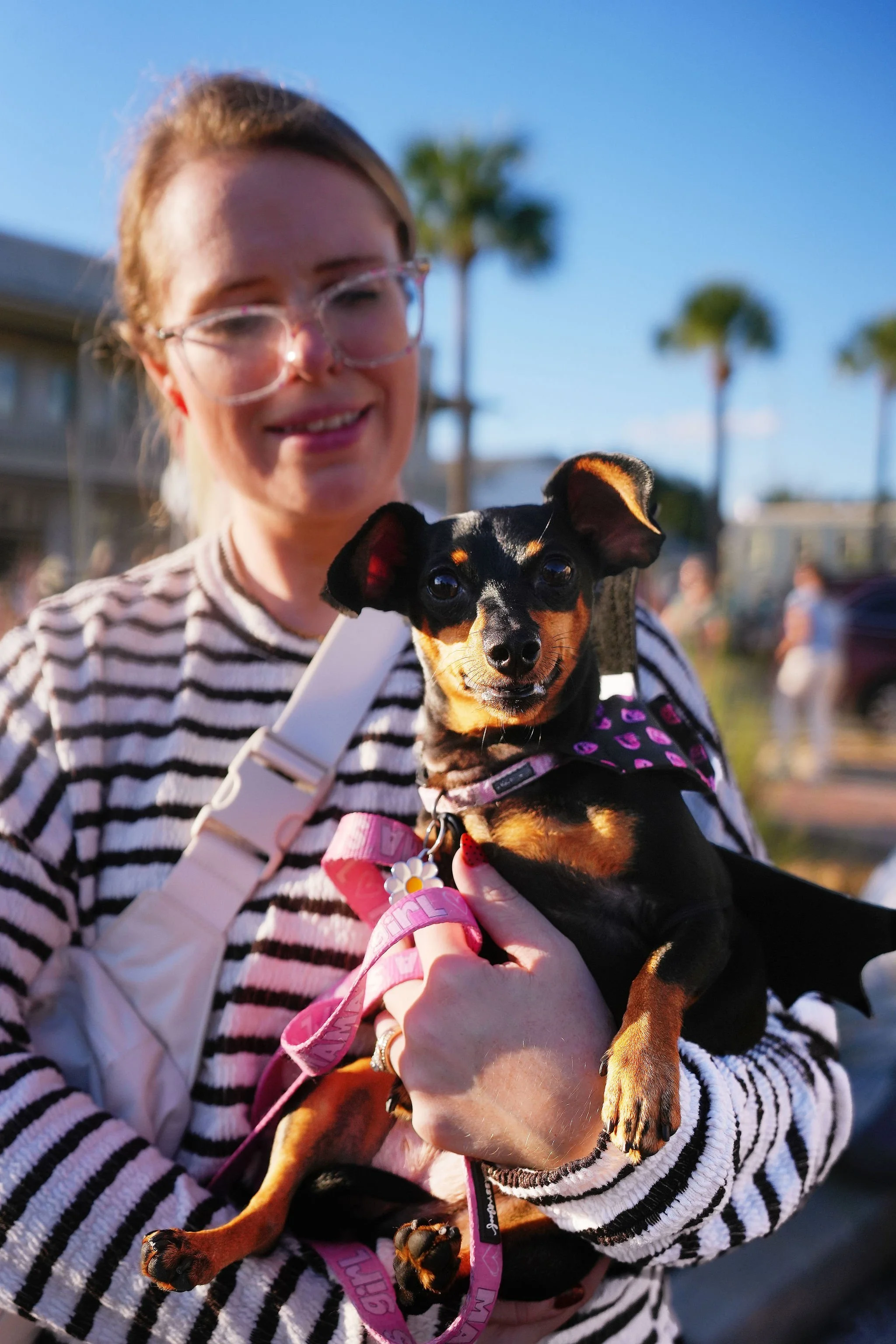 A woman holding a small black and tan dog outdoors with palm trees and a building in the background. The woman is smiling and wearing glasses and a black and white striped shirt, while the dog has a pink collar and tag.