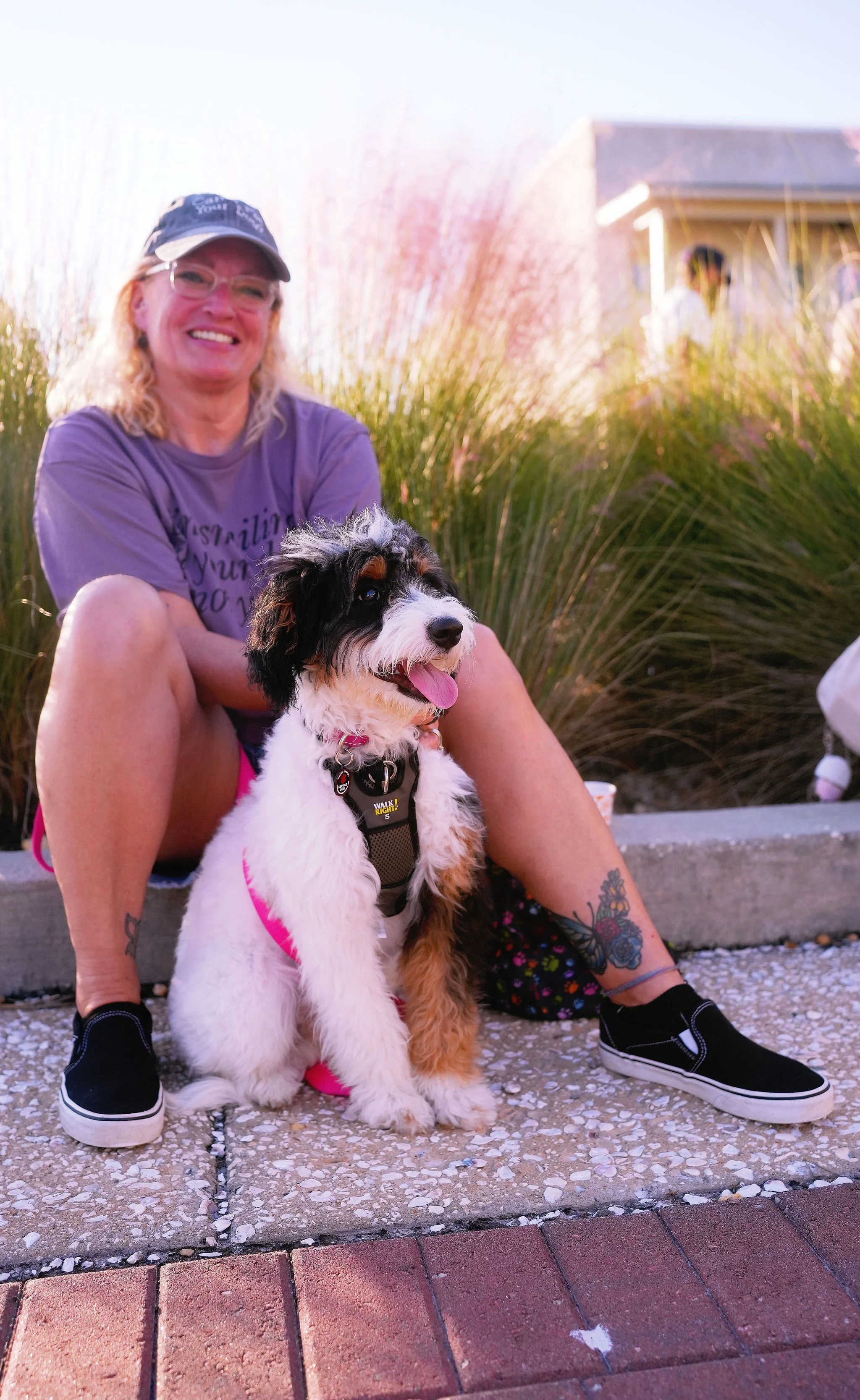 A woman sitting on a sidewalk with a black, white, and brown puppy in front of her. She is smiling and wearing glasses, a cap, a purple T-shirt, and black sneakers. The background features tall grass and a house.