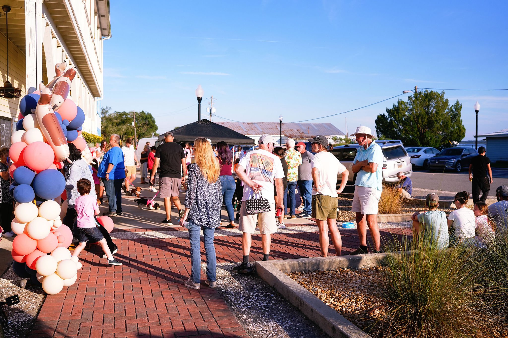 People gathered outdoors on a sunny day, with some standing and sitting near a building decorated with pink, white, and blue balloons. A black canopy tent is set up, and there are parked cars and trees in the background.