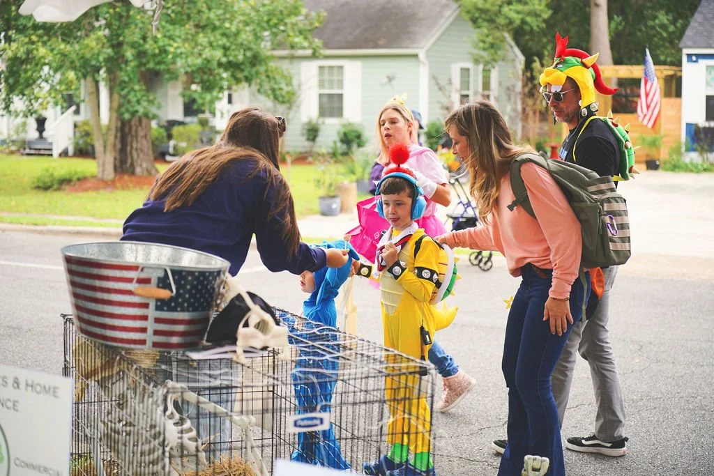 scarecrow-stroll2609997.jpg