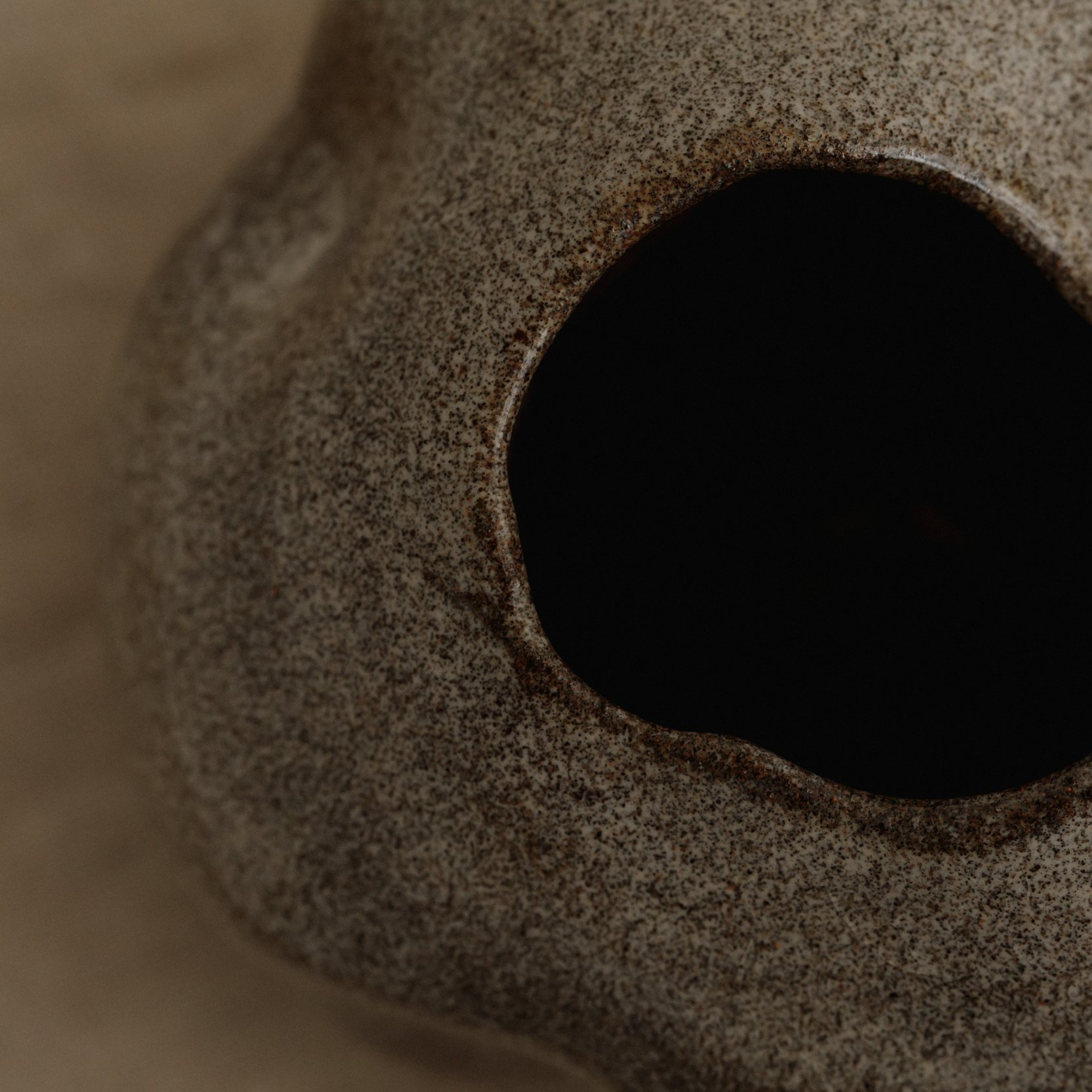 CKC_Organic-Stone-Case-Two4.jpg