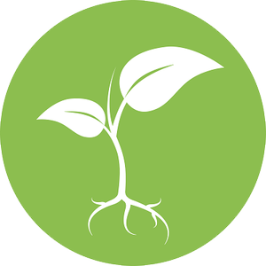 SP-Roots-of-Hope-logo.png
