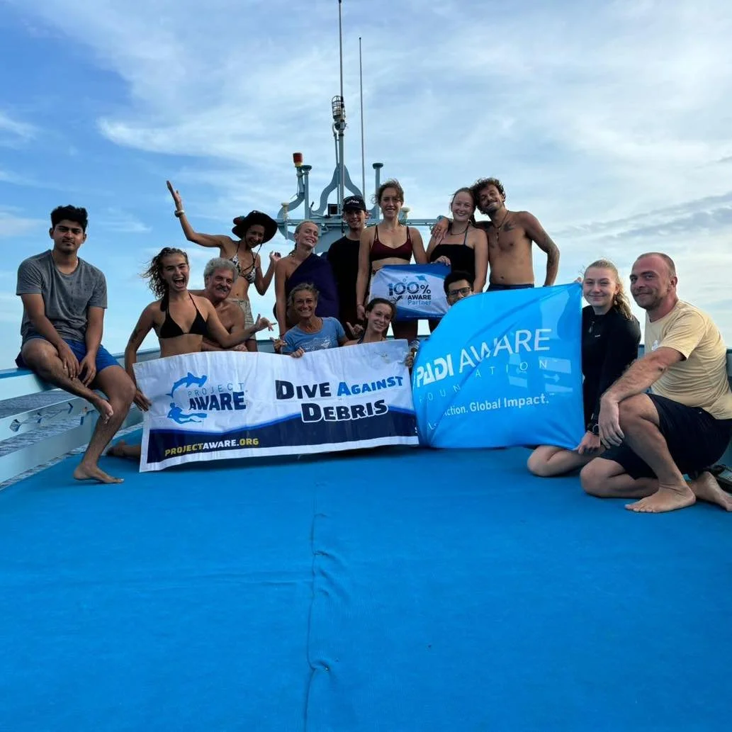 underwater clean up.jpg