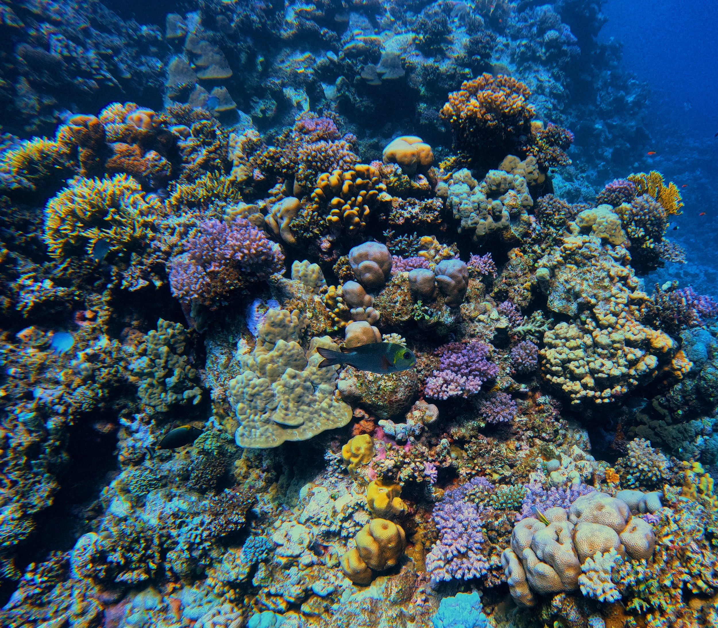 inside the ocean.jpg