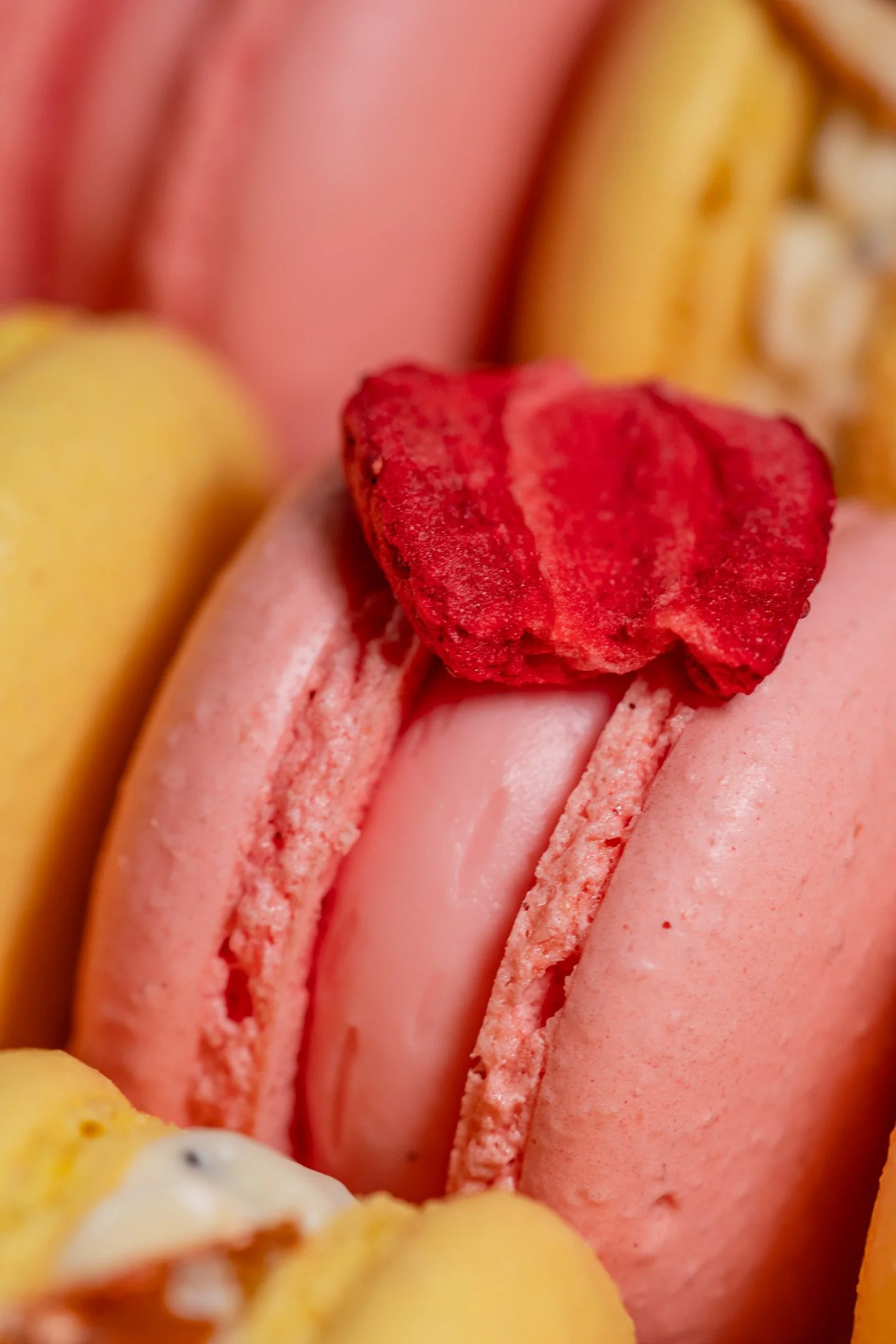 Strawberry Milkshake Whipped Ganache