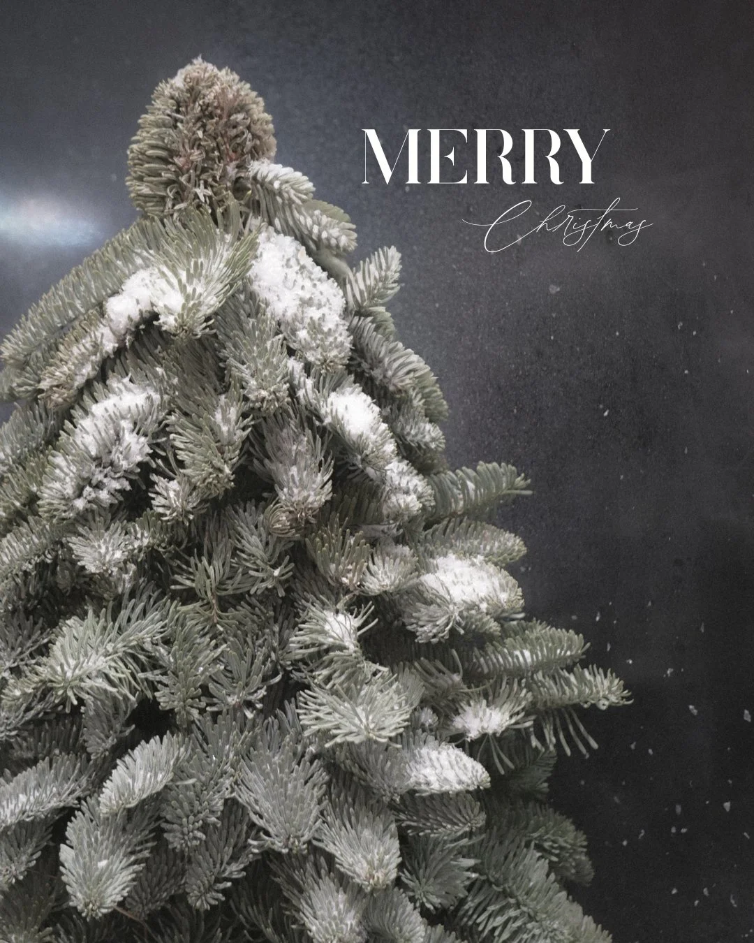 Merry Christmas.

Holding space today for joy, grief, family, distance, rest, noise, love &mdash; all of it.

However this day meets you, I hope you&rsquo;re kind to yourself inside it.