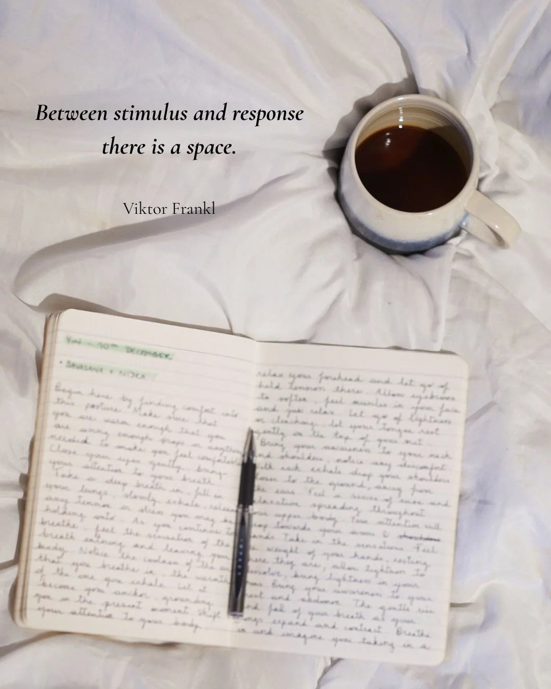 Between stimulus and response there is a space.
&mdash; Viktor Frankl

That space isn&rsquo;t action.
It isn&rsquo;t hustle.
And it definitely isn&rsquo;t pressure.

Integration lives there.

You don&rsquo;t need to &ldquo;do&rdquo; anything the mome