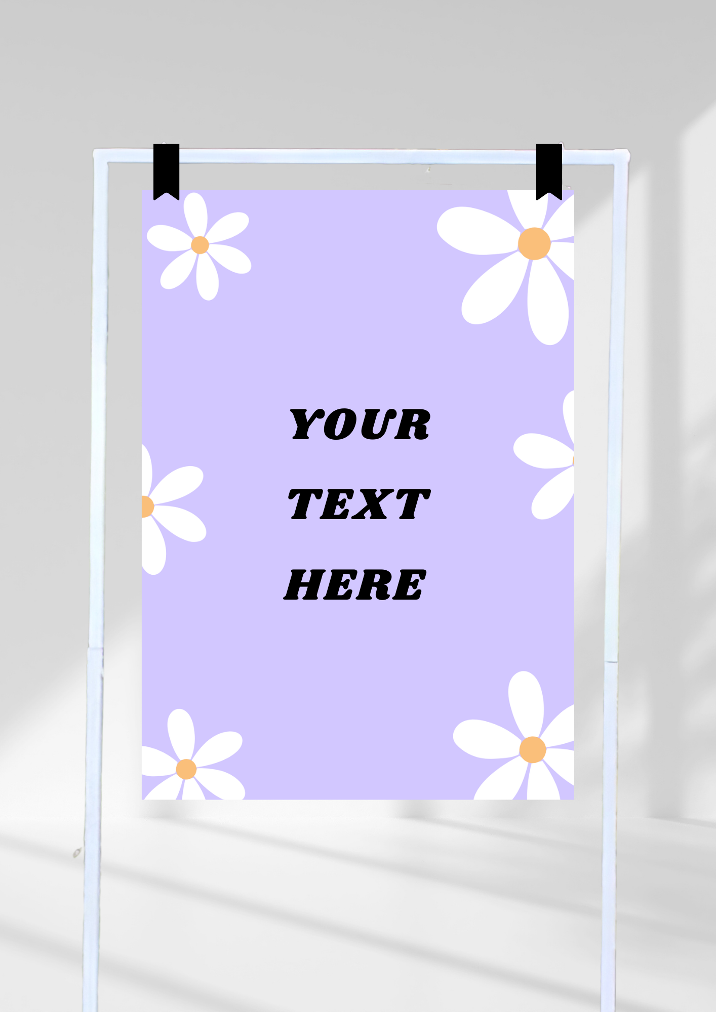 daisies - purple