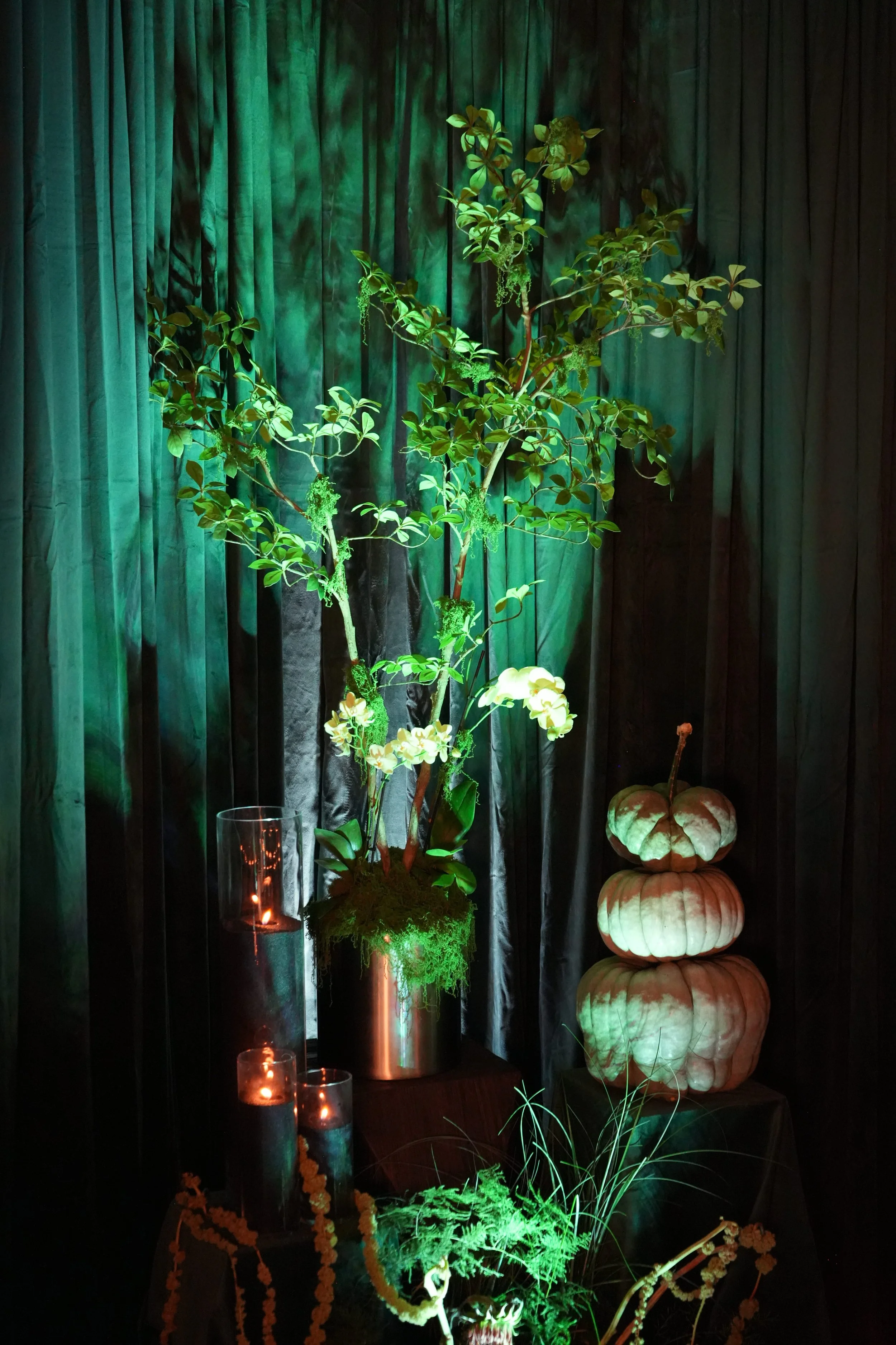 Visualize Creative Agency - Event 01.jpg