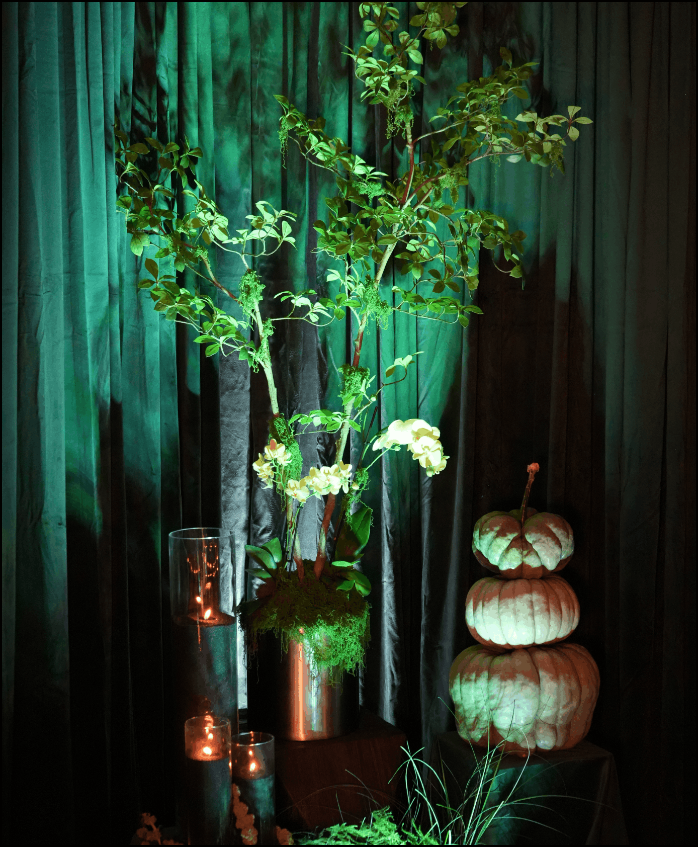 Visualize Creative Agency - Event 142.png