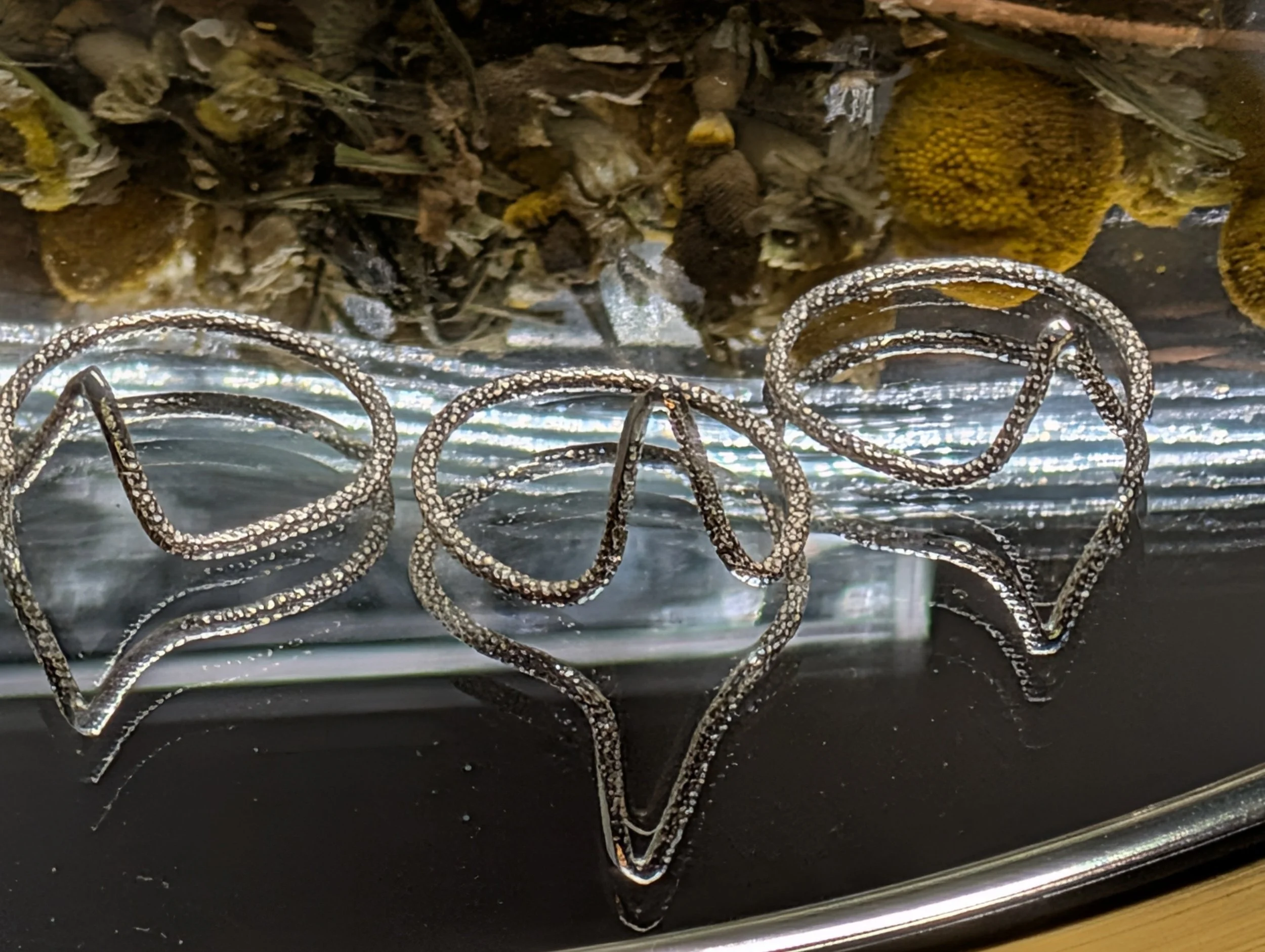 processed_16520.jpg