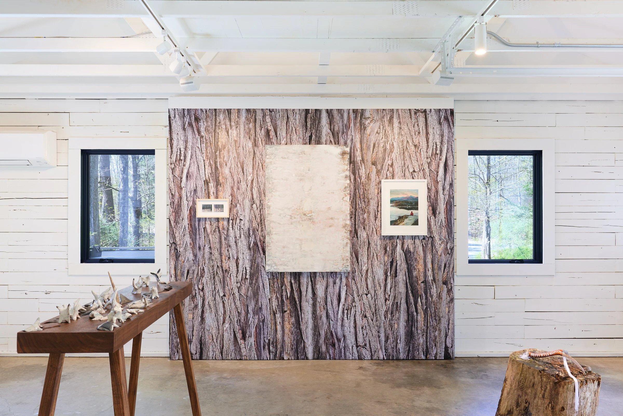 N/A Project Space, "A Forest"