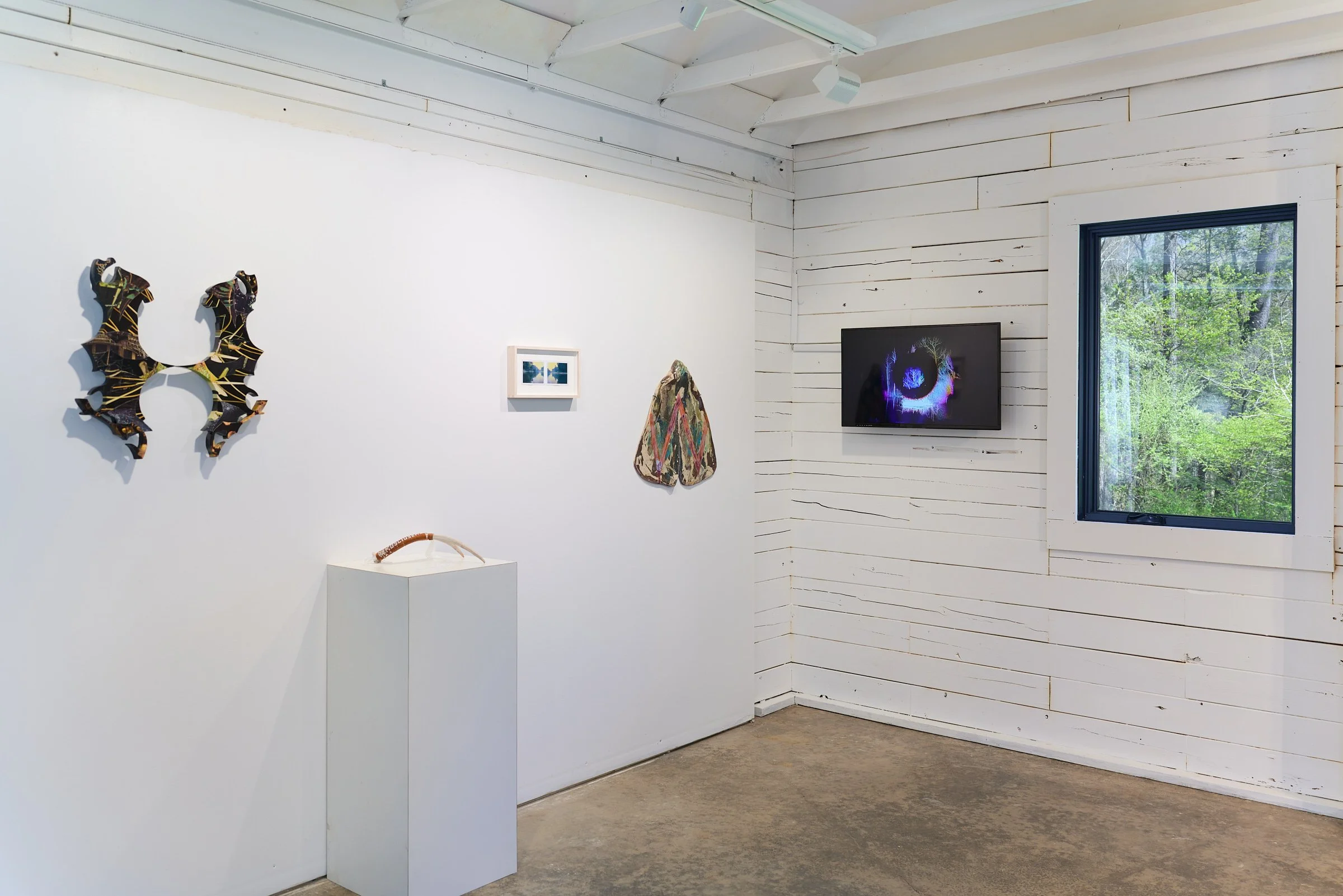 N/A Project Space, "A Forest"