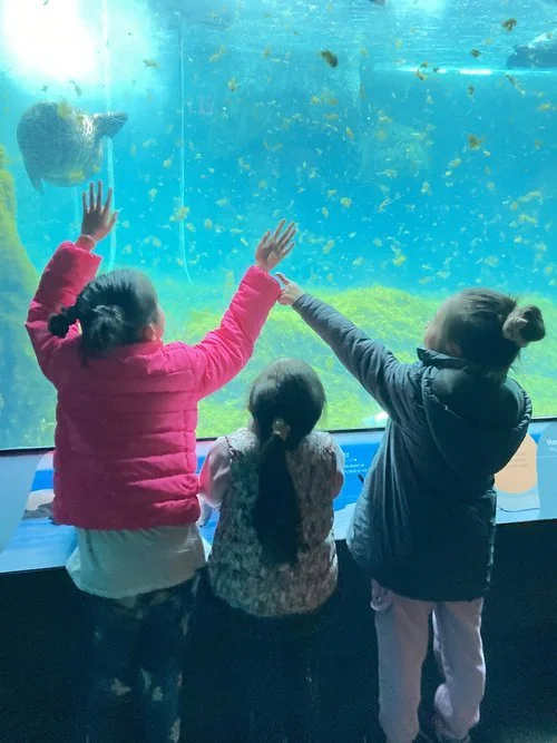 NY Aquarium (1).jpeg