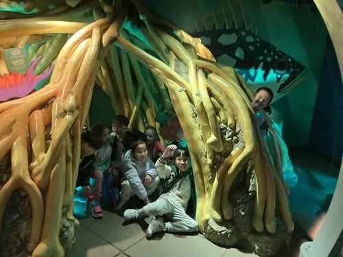 NY Aquarium (2).jpeg