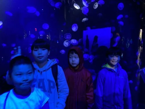 NY Aquarium (10).jpeg