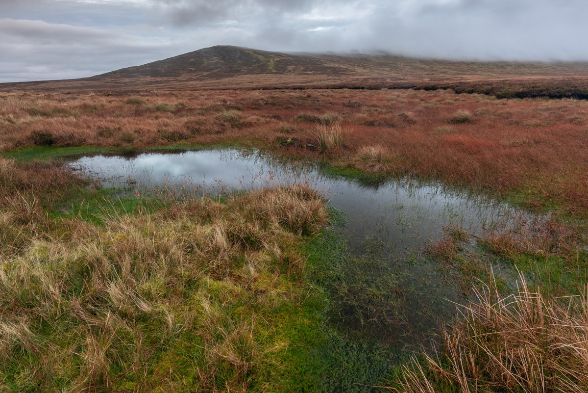 DSC_5070.jpg