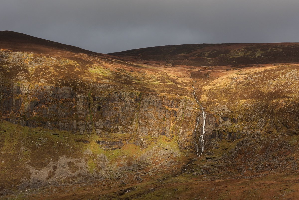 DSC_9764.jpg