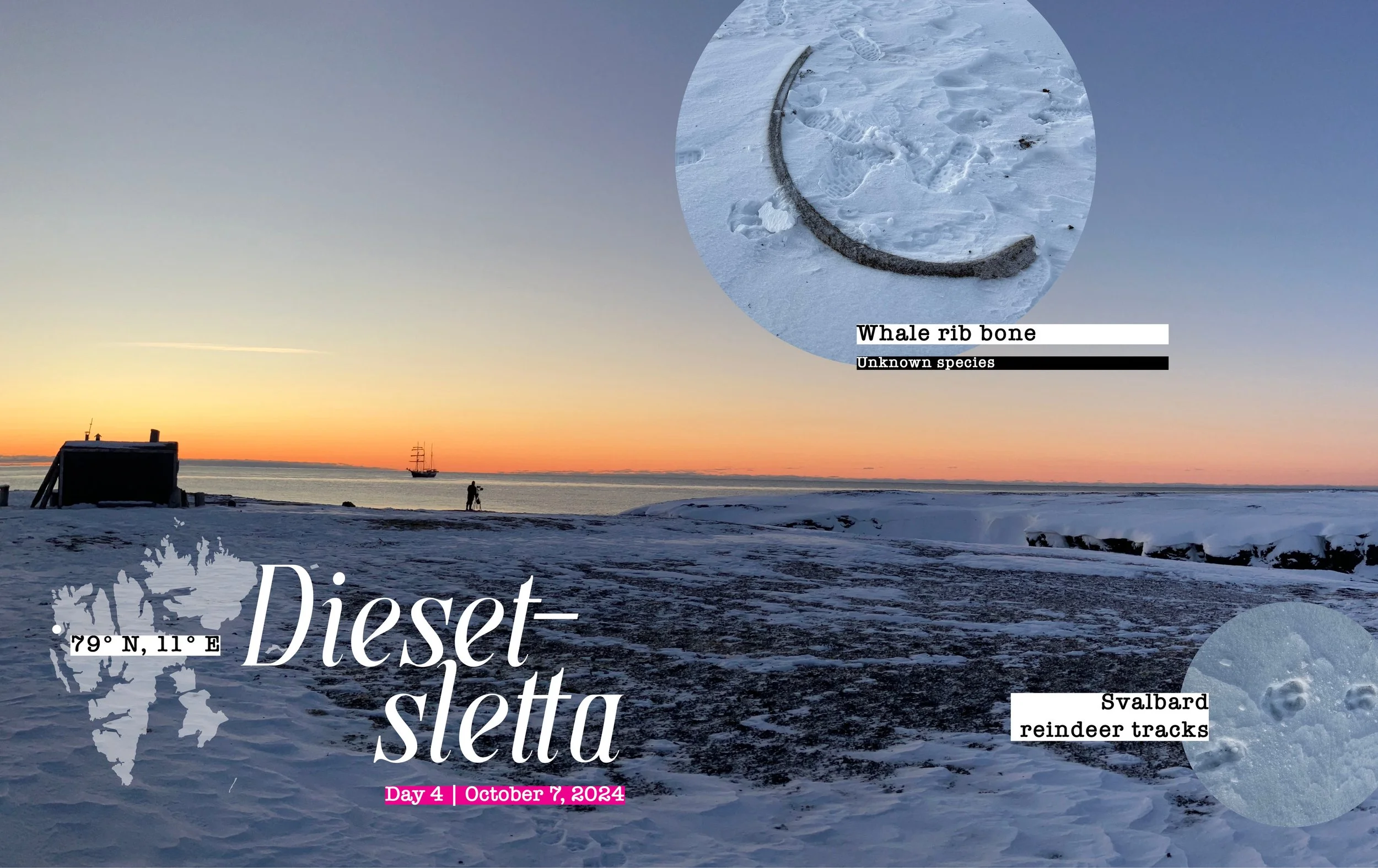 Diesetsletta, Svalbard